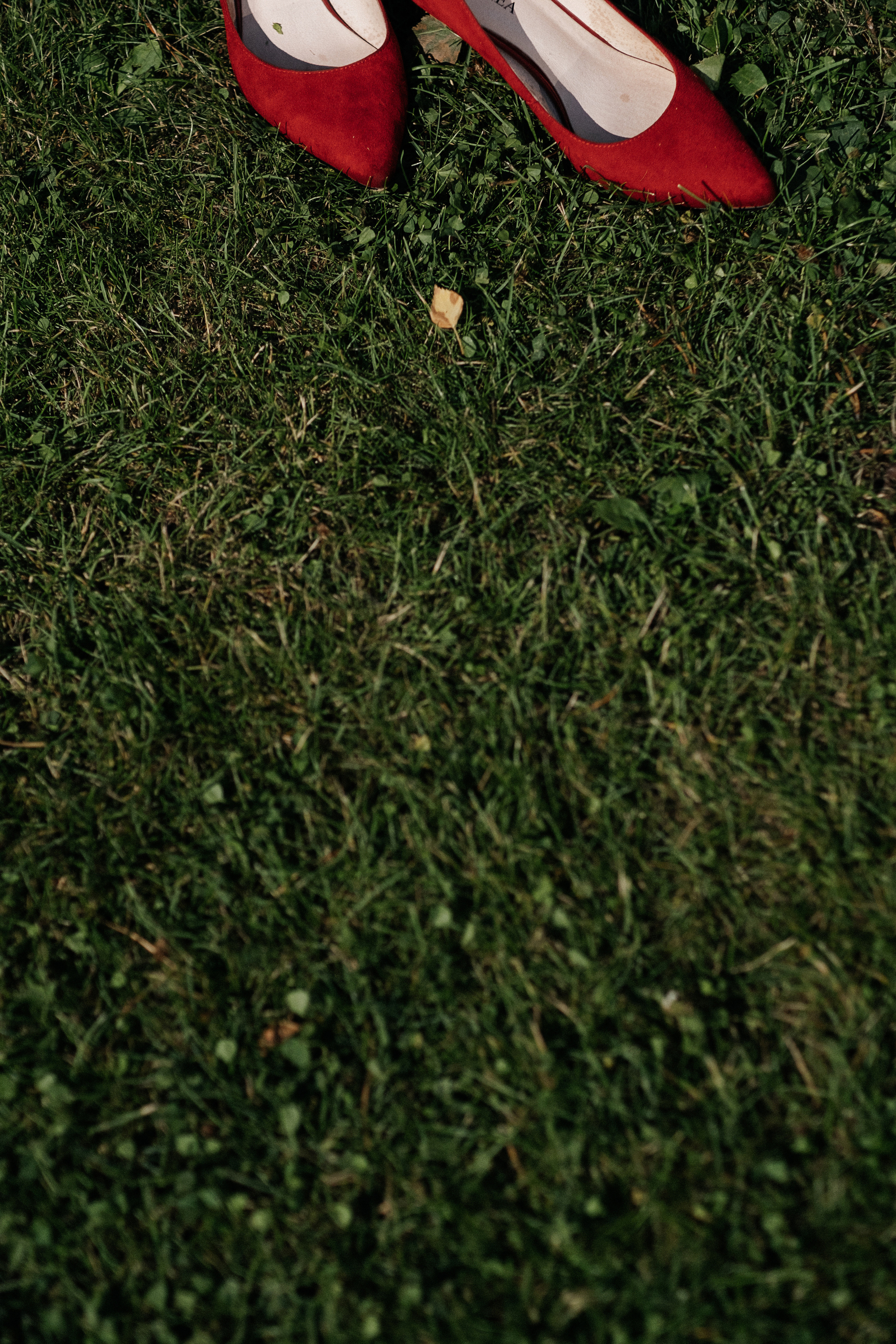 Кирилл_Карина. Свадебный и семейный фотограф Барнаул Рубцовск Бийск Алтайский край