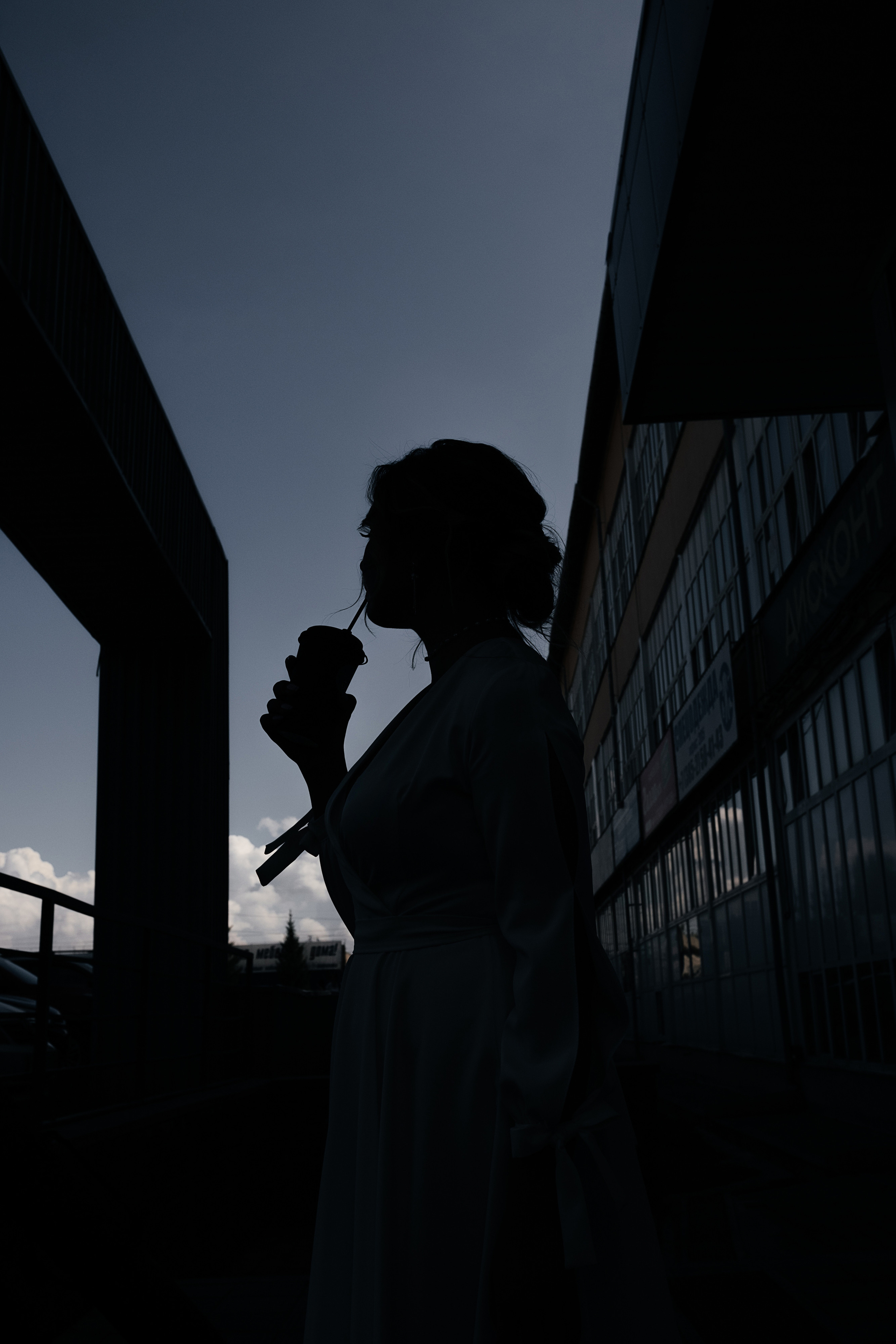 Кирилл_Карина. Свадебный и семейный фотограф Барнаул Рубцовск Бийск Алтайский край