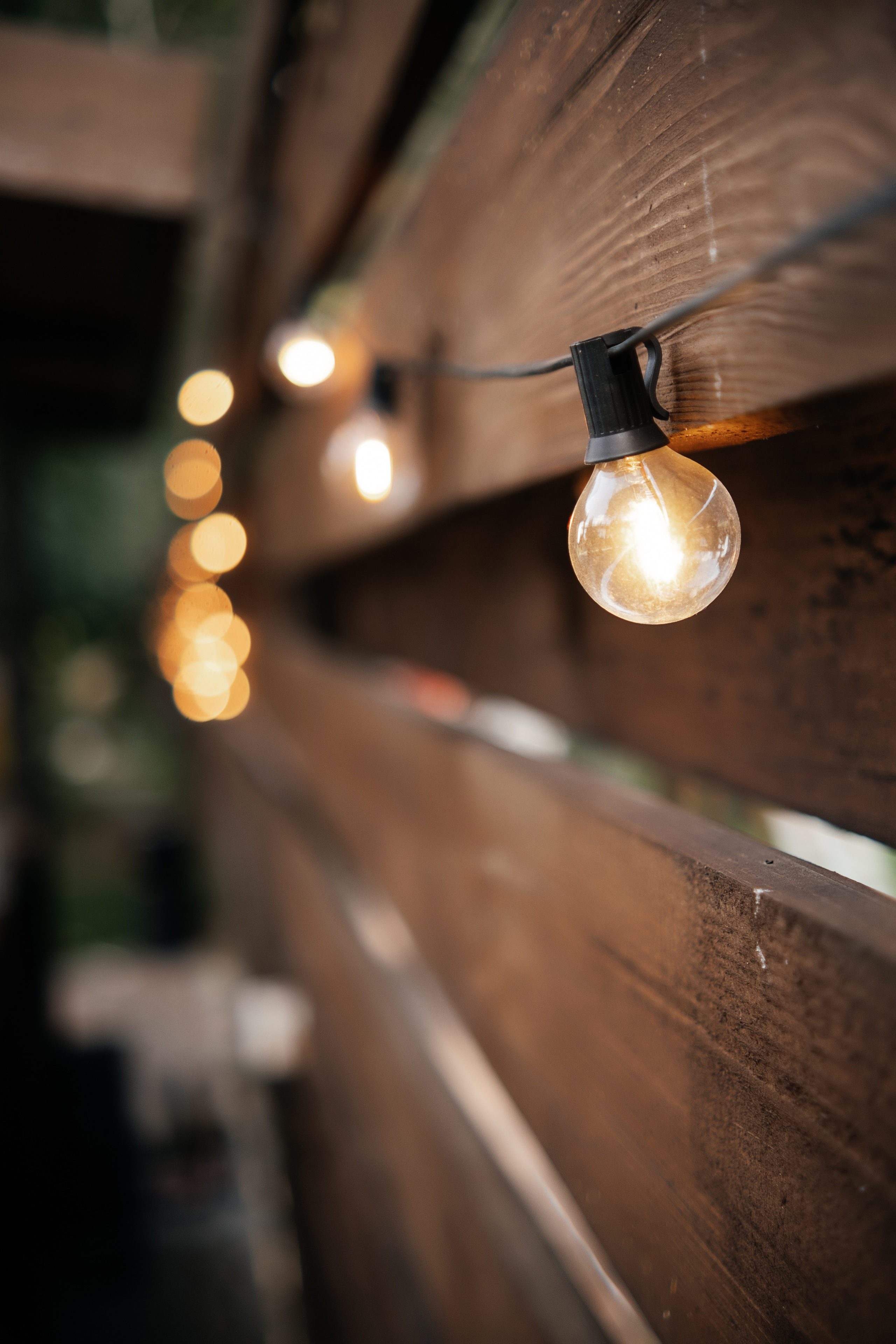 Кирилл_Карина. Свадебный и семейный фотограф Барнаул Рубцовск Бийск Алтайский край