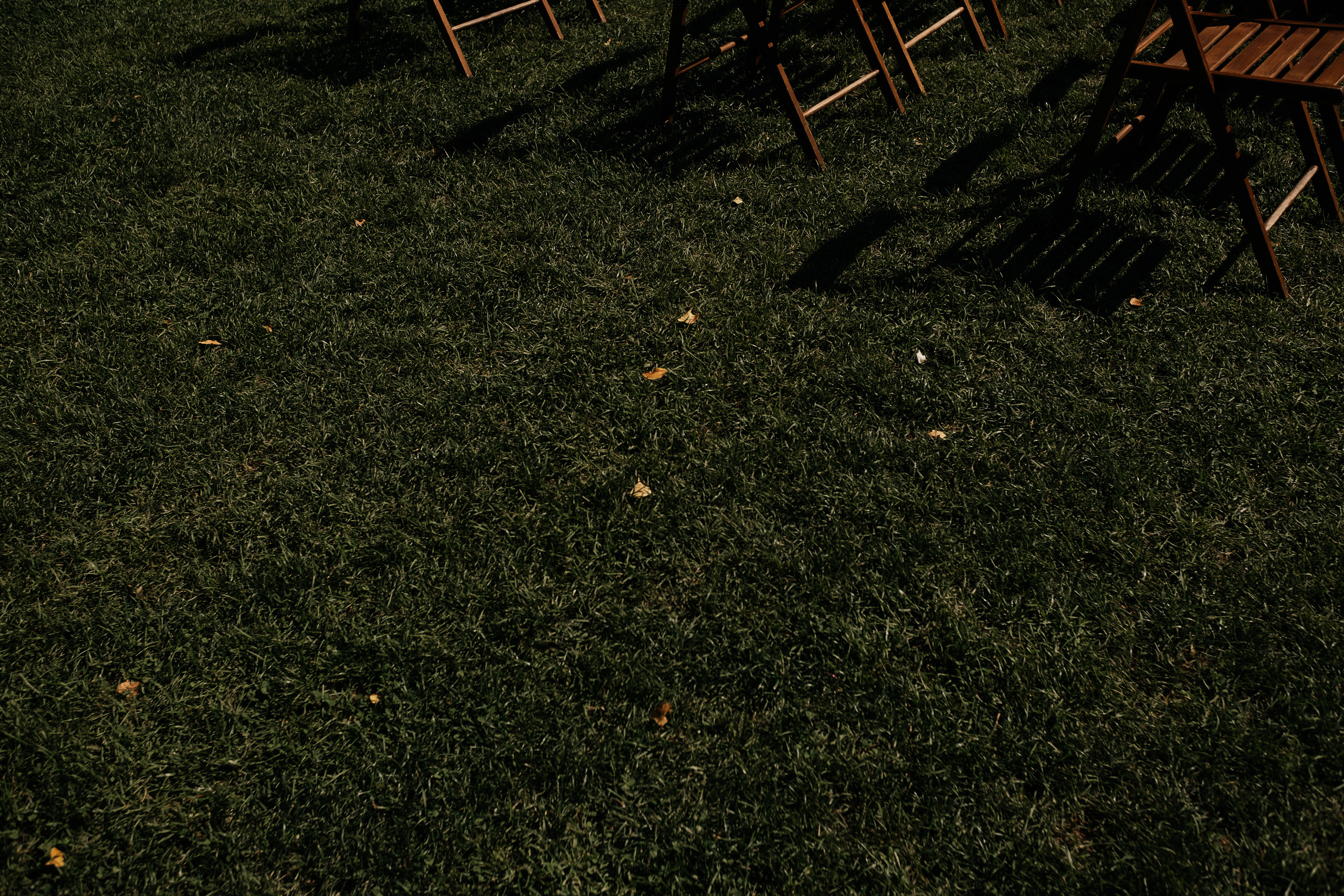 Кирилл_Карина. Свадебный и семейный фотограф Барнаул Рубцовск Бийск Алтайский край