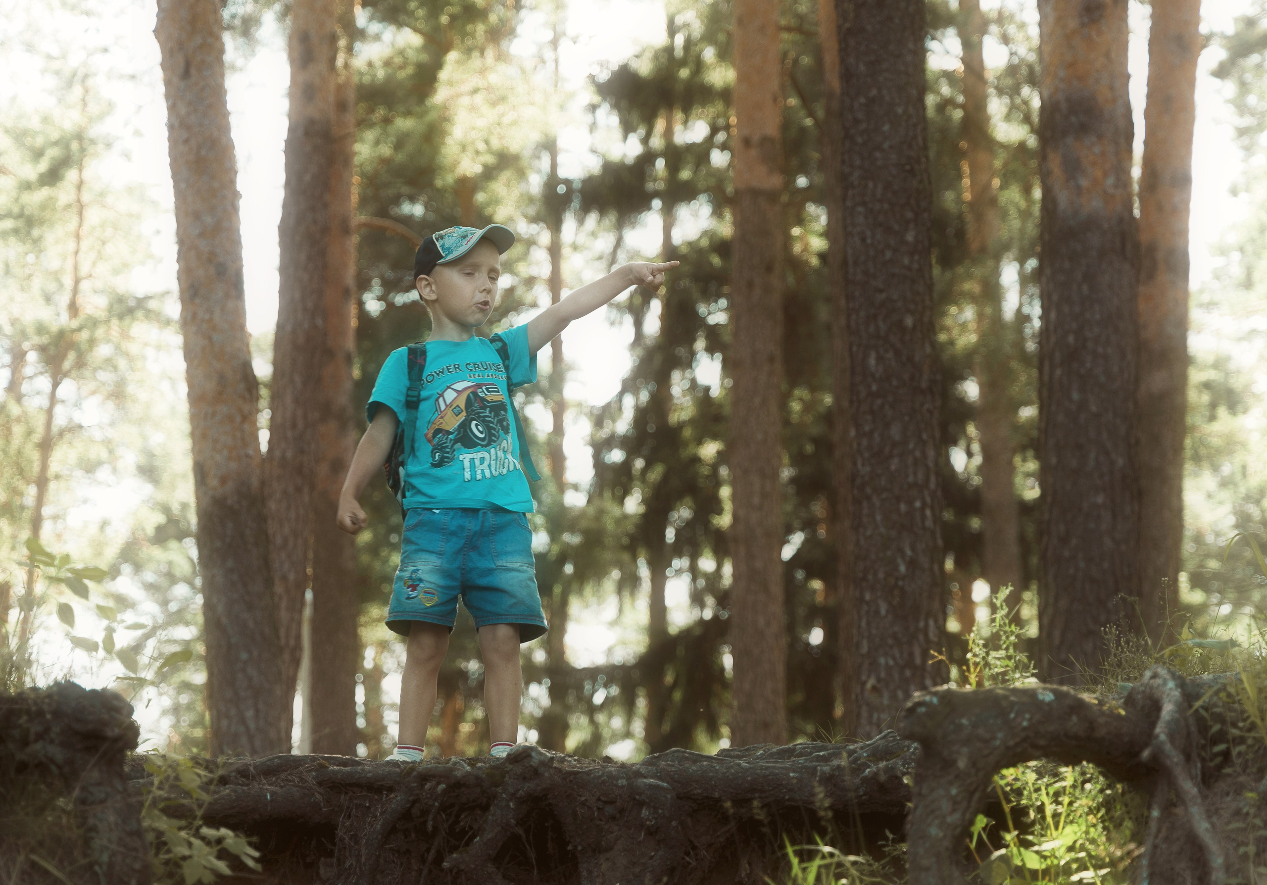 — Прогулка в Кратово