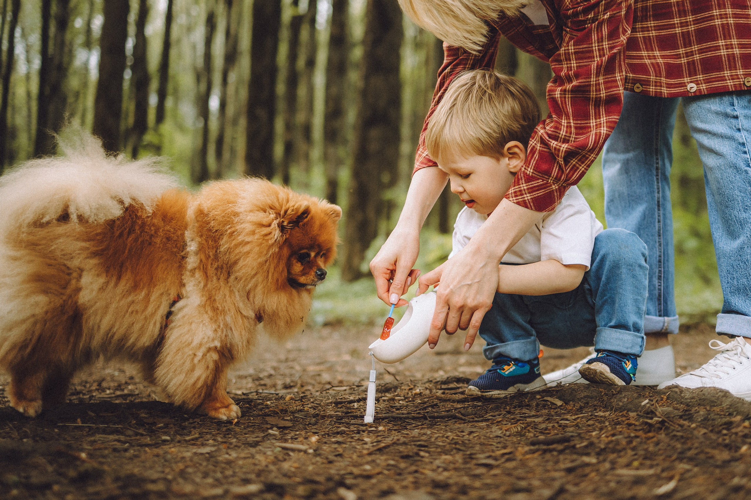 Лорик и его семья