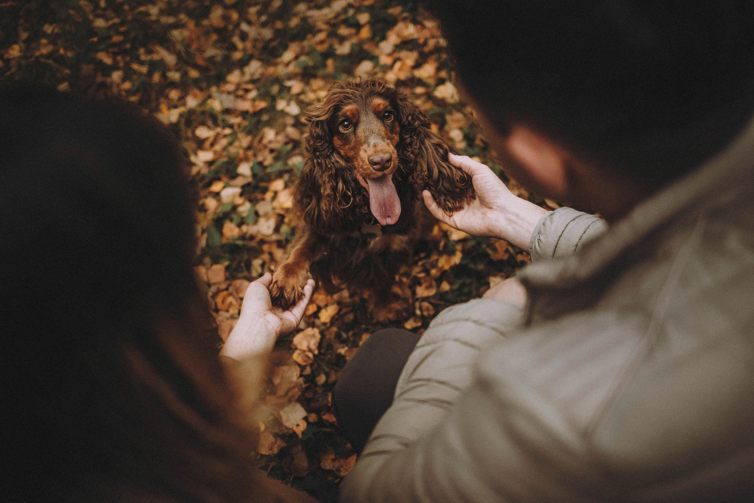 Настя, Саша и Эстер