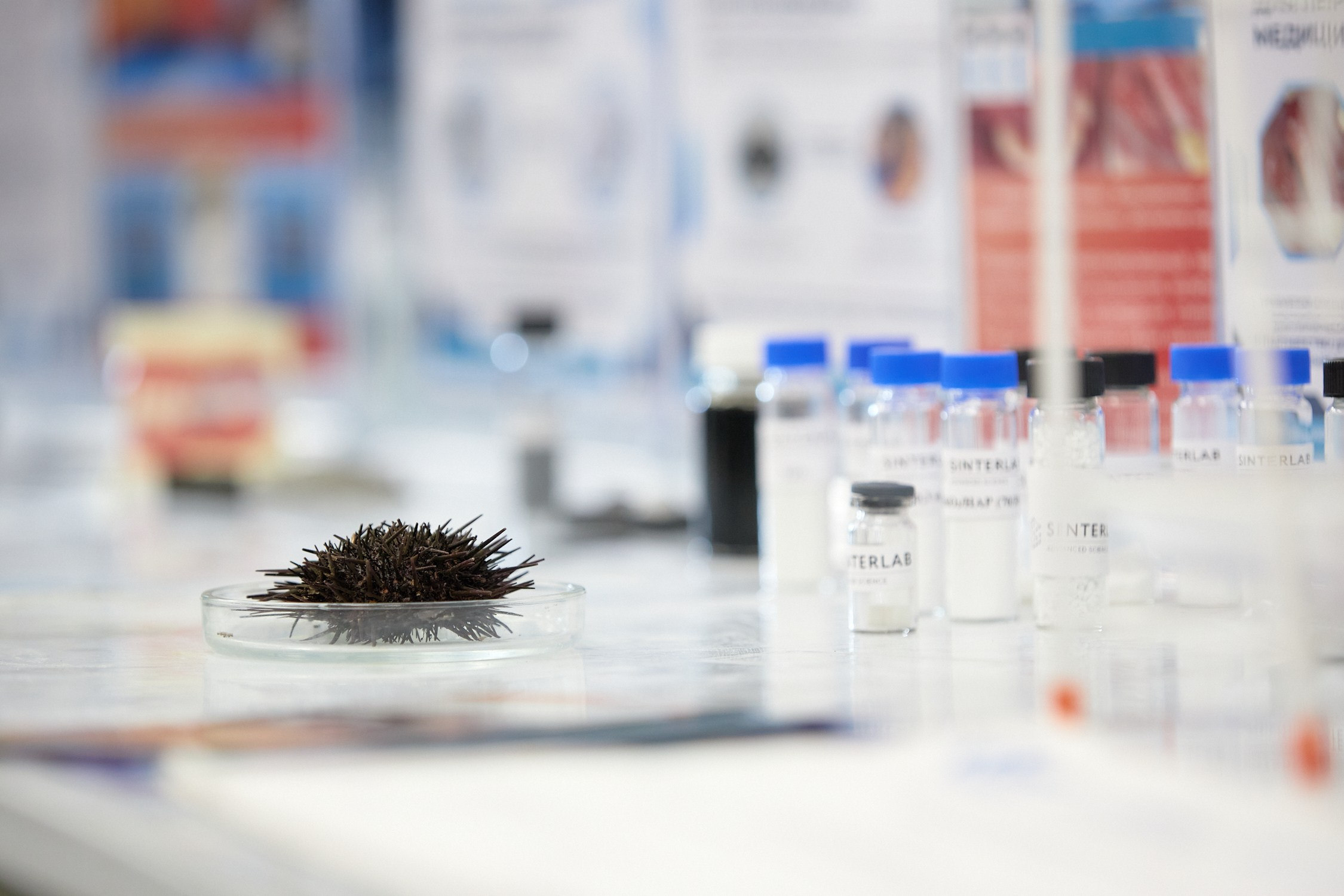 Приоритет 2030. Репортажный фотограф Владивосток Анастасия Сокольникова