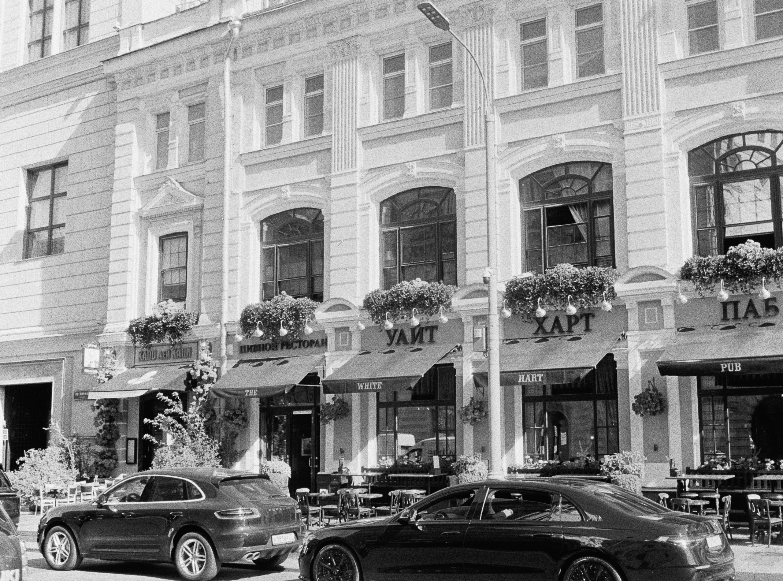 Роскошь. Сергей Новиков Фотограф Москва