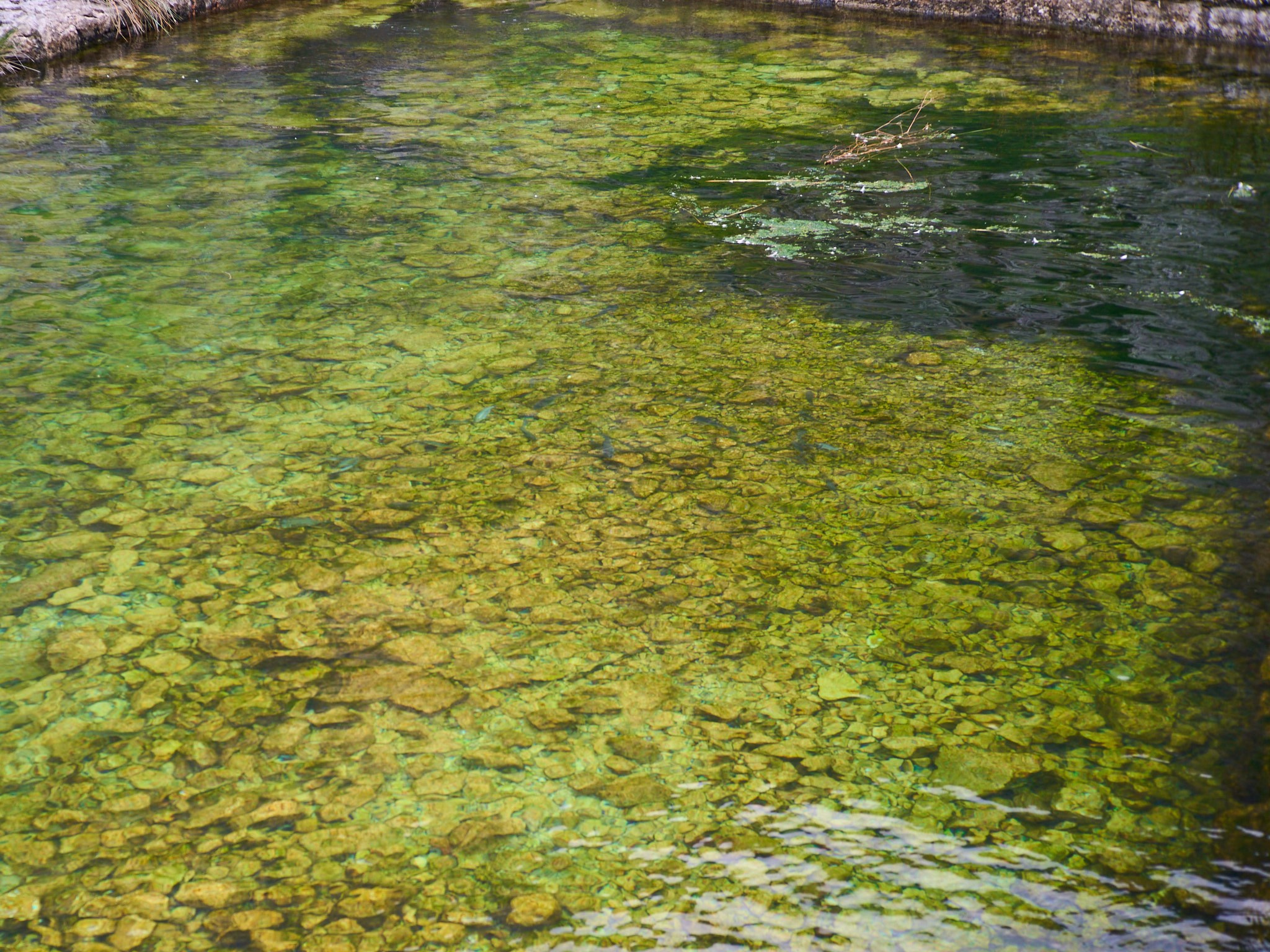 Черногория, сентябрь 2024. Фотограф, Римма Невинская