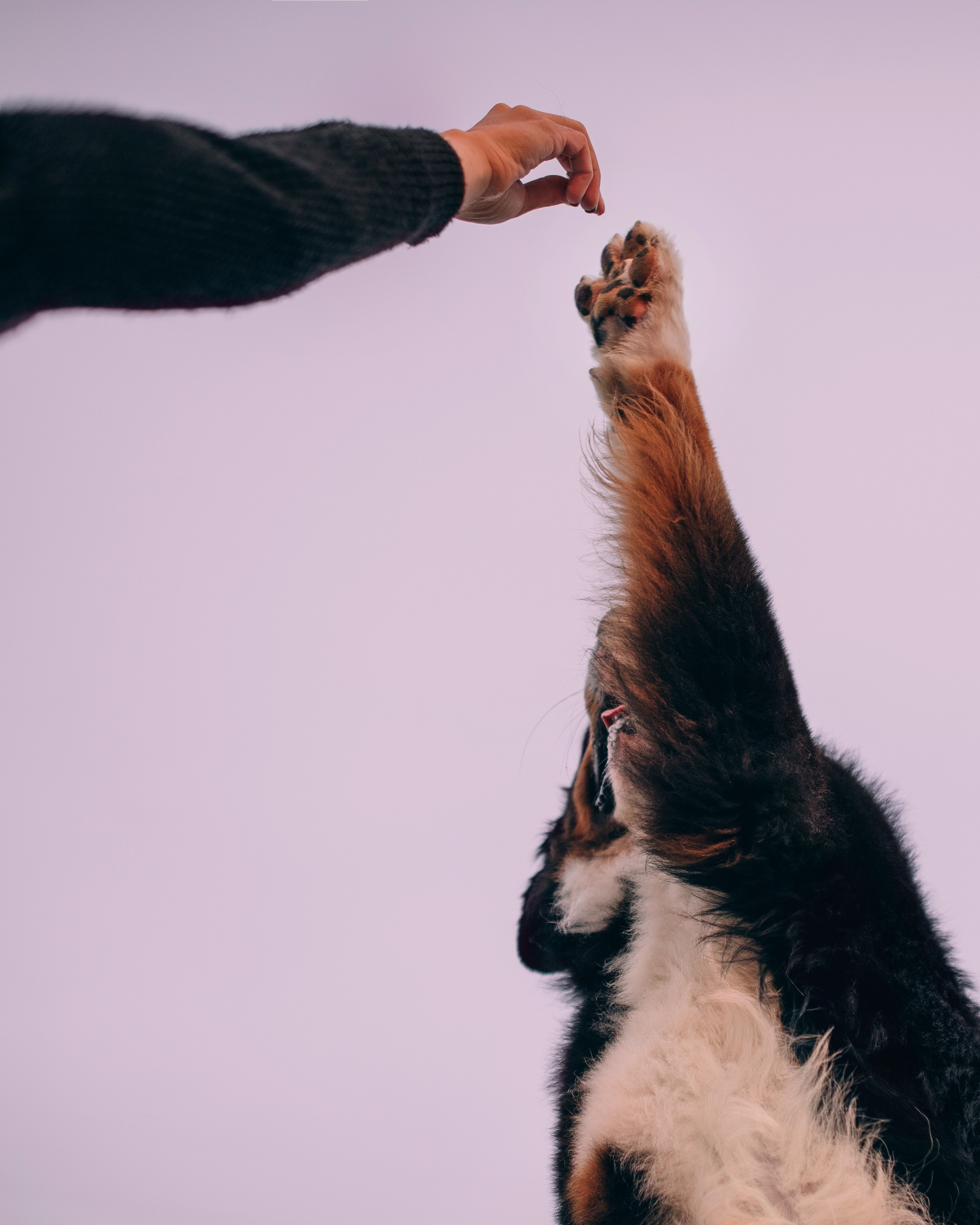 Владивосток: Марс и Маша. Портфолио