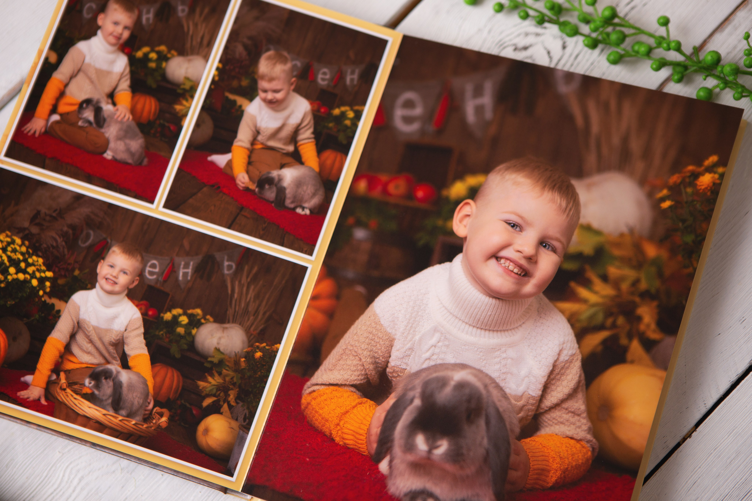 Книги Фабрика. Семейный фотограф Дарья Дзюбинская Раевская Анапа Новороссийск