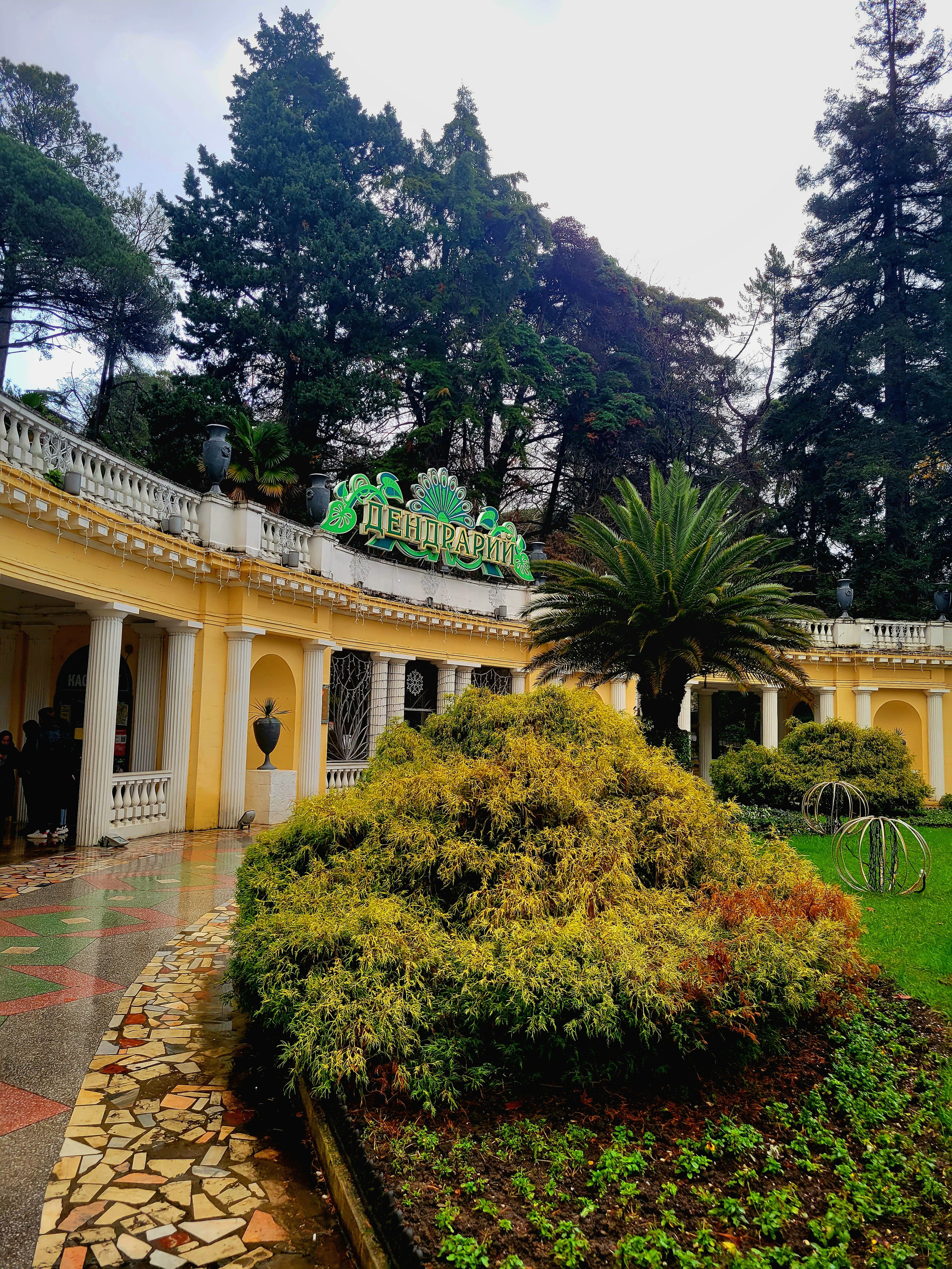 Дендрарий. В парке закрыли фуникулер. 