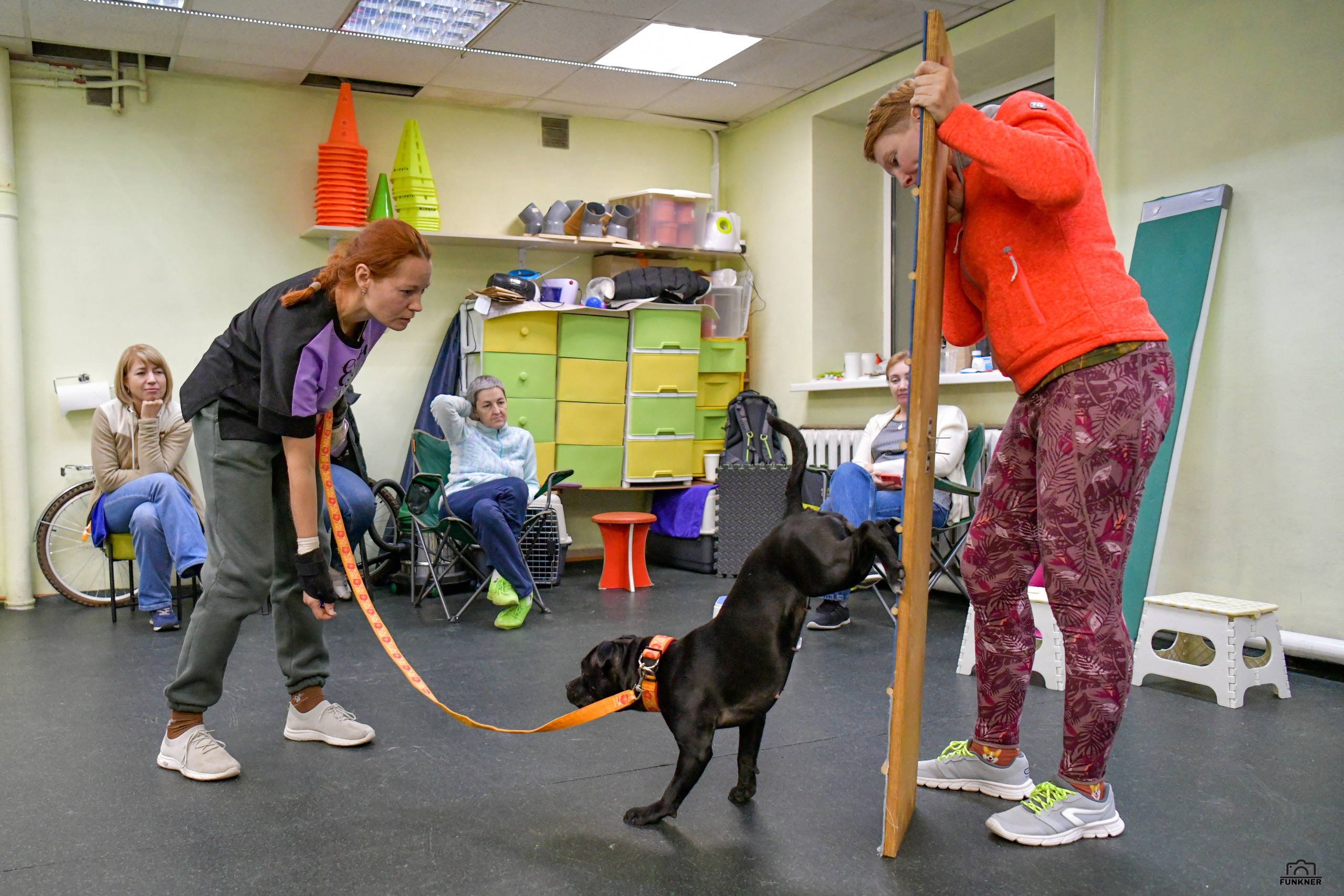 Кинологический клуб «Бодрый хвост». Свой взгляд через объектив