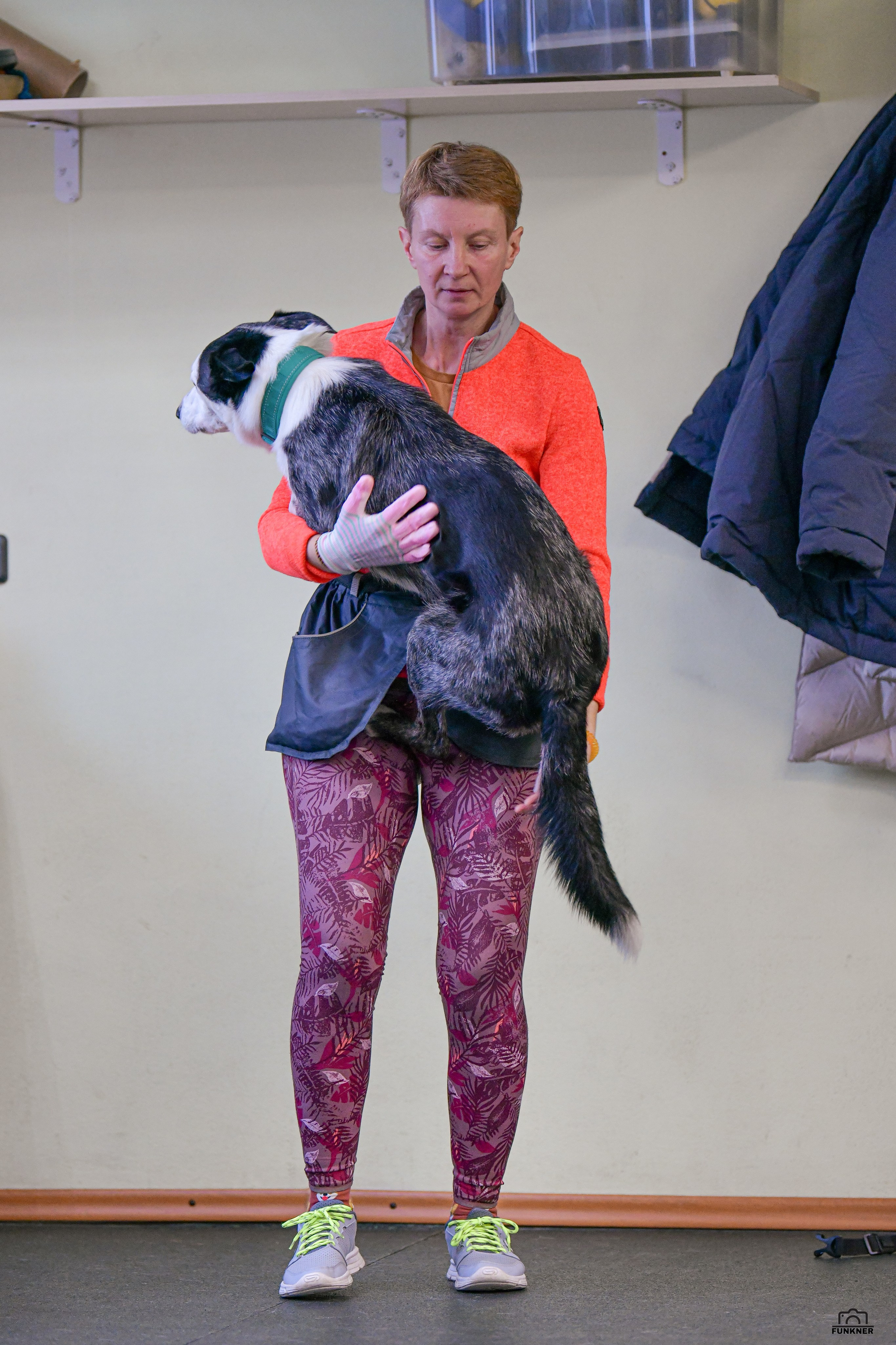 Кинологический клуб «Бодрый хвост». Свой взгляд через объектив