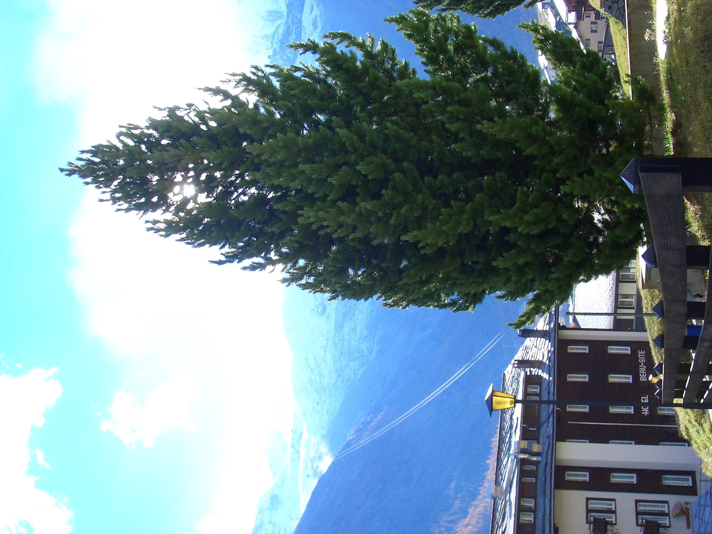 Вериченко лыжи 2004. Заставка