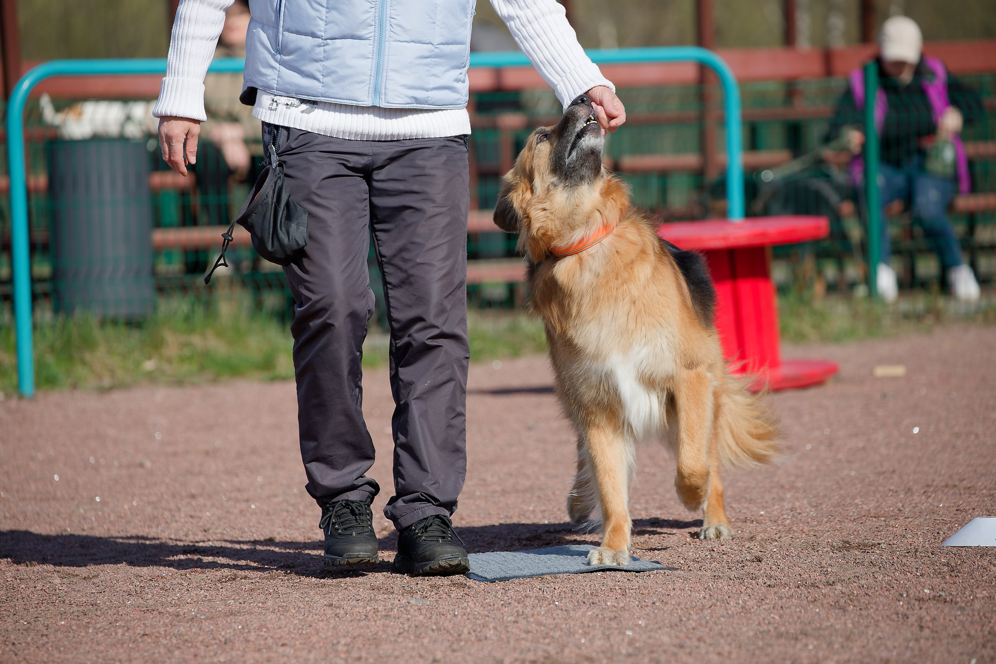 Турнир «Место». Irenephoto.ru