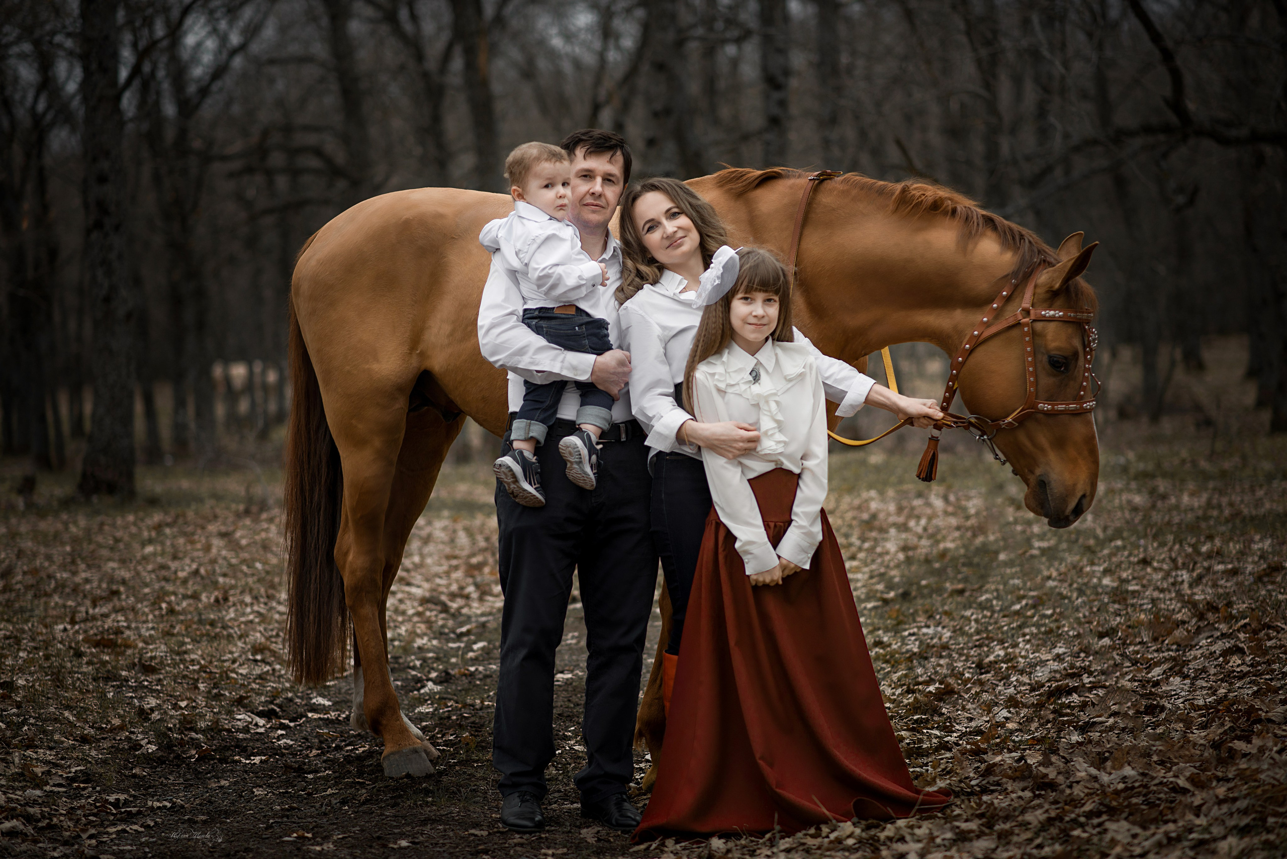 Семейная съемочка с Собратом. Конный фотограф в Саратове Юлия Иванова