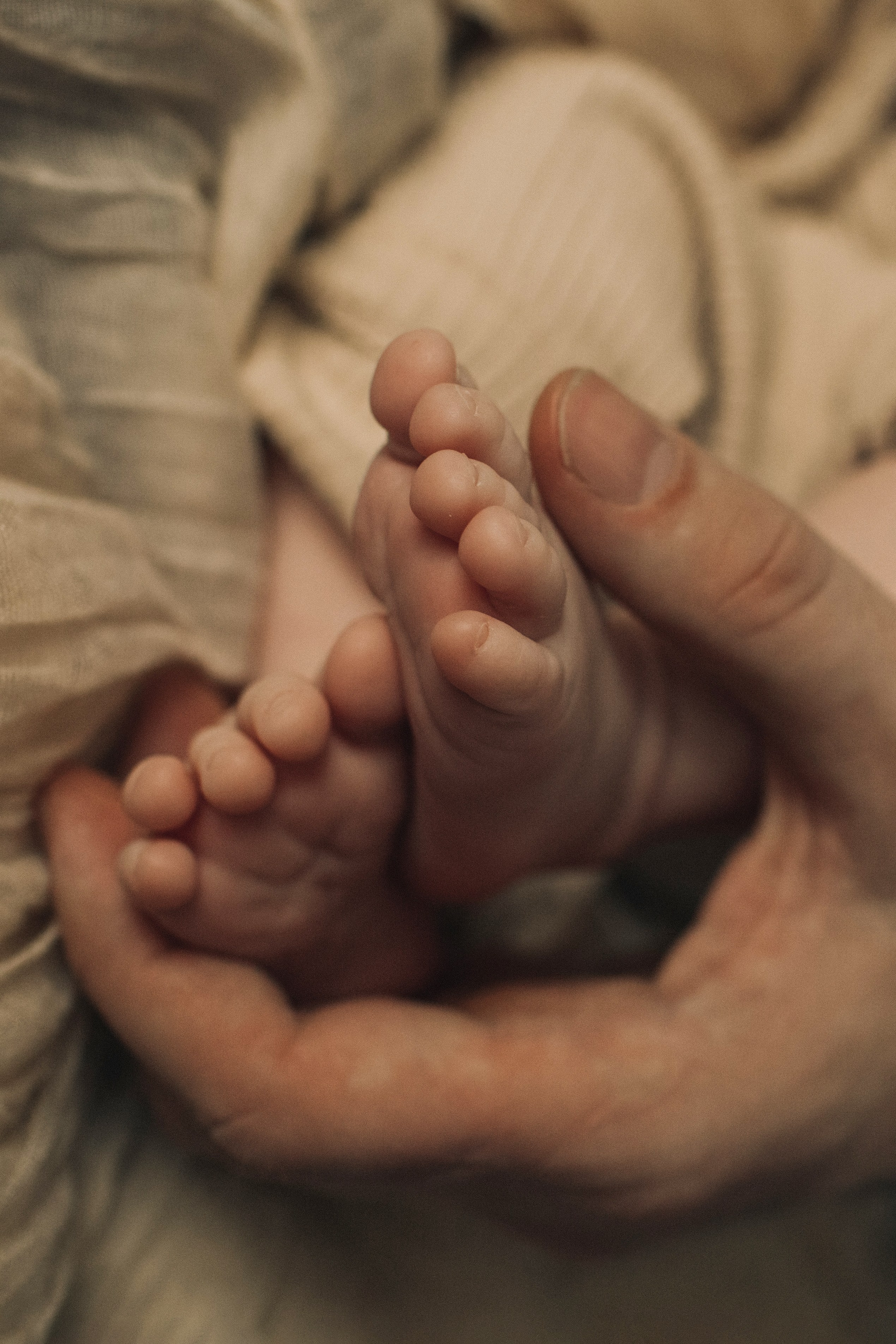 Матвей, Даша, Дима. Семейный фотограф Томск