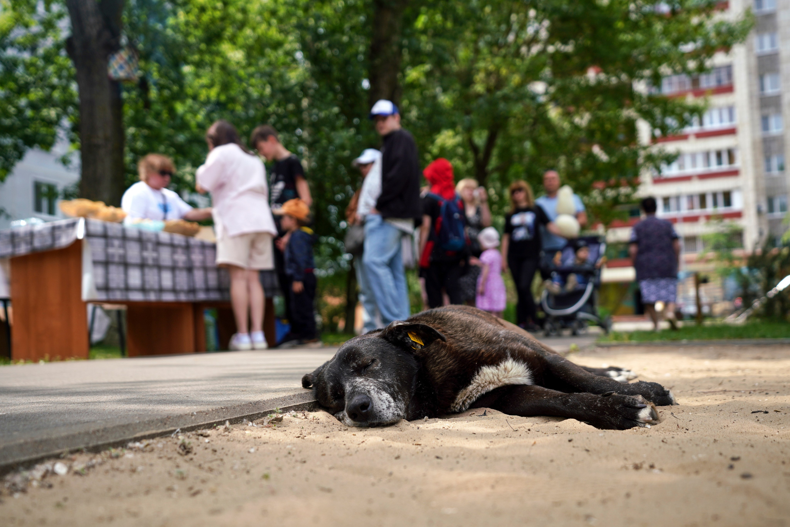 «Наш двор» ул. М.Чуйкова 25 Казань, 2025. Фотограф Казань