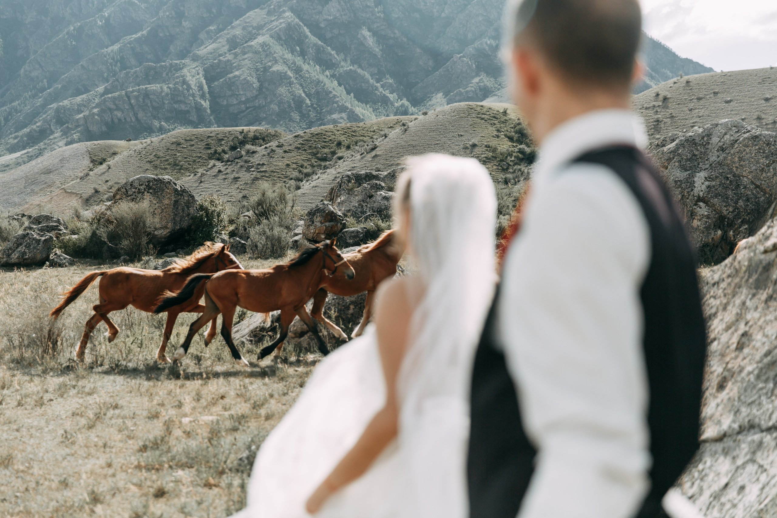 «Мы только что расписались и едем в свадебное путешествие. Будем в Ине». Фотограф Любовь Щербинина