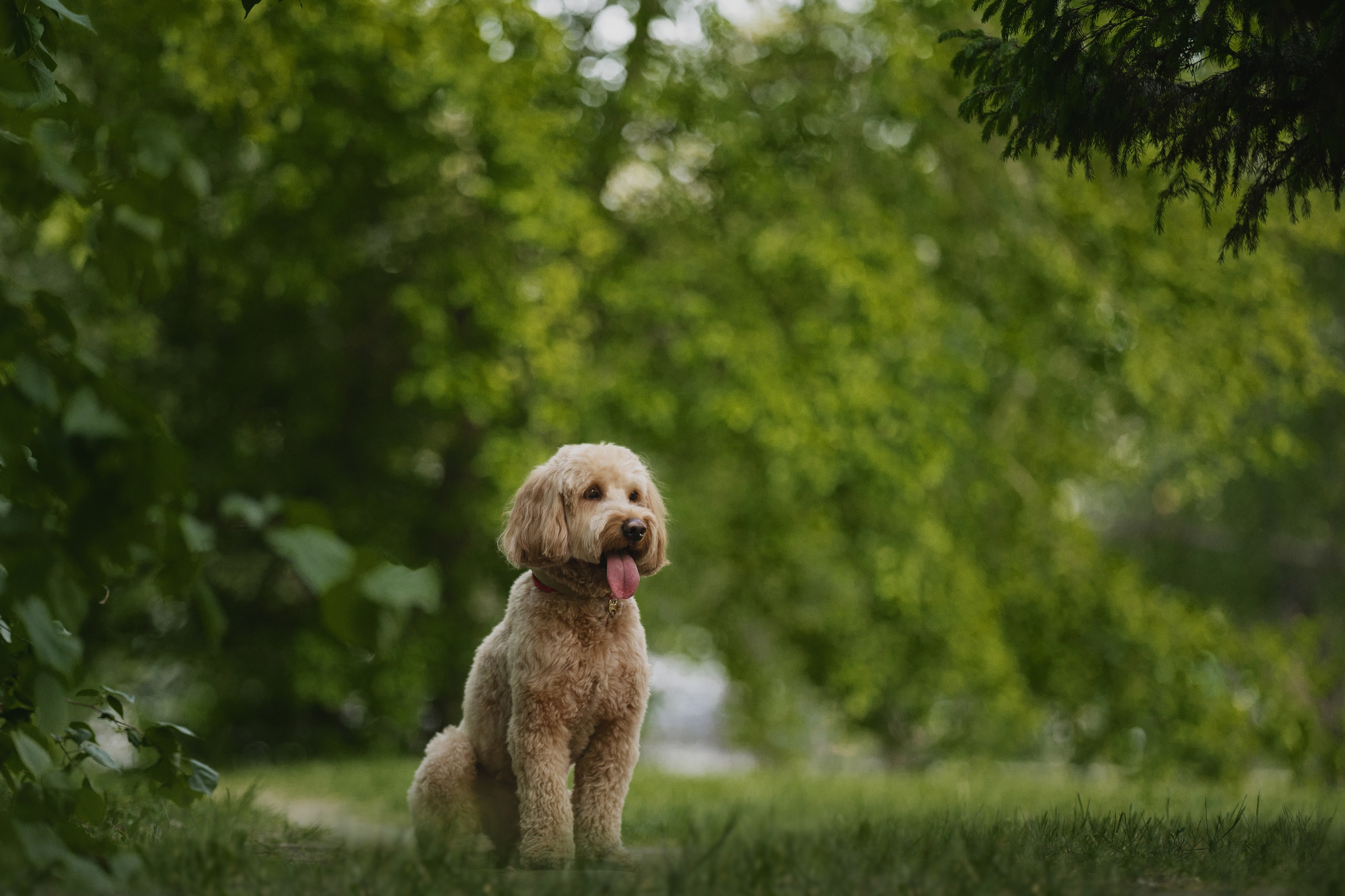 Алла и ее мальчики. Kameramotor74