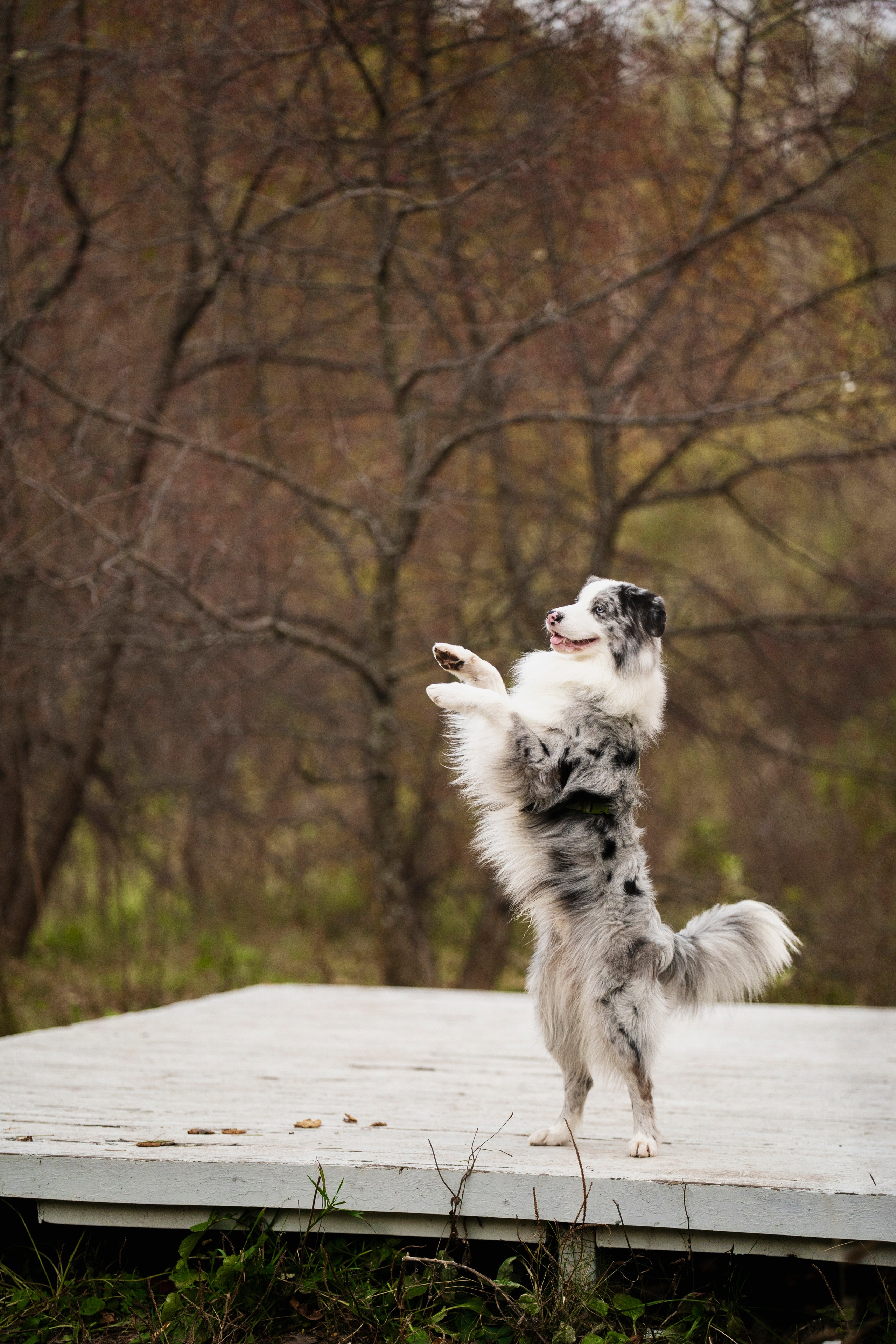 Съемка Альфа. Kameramotor74