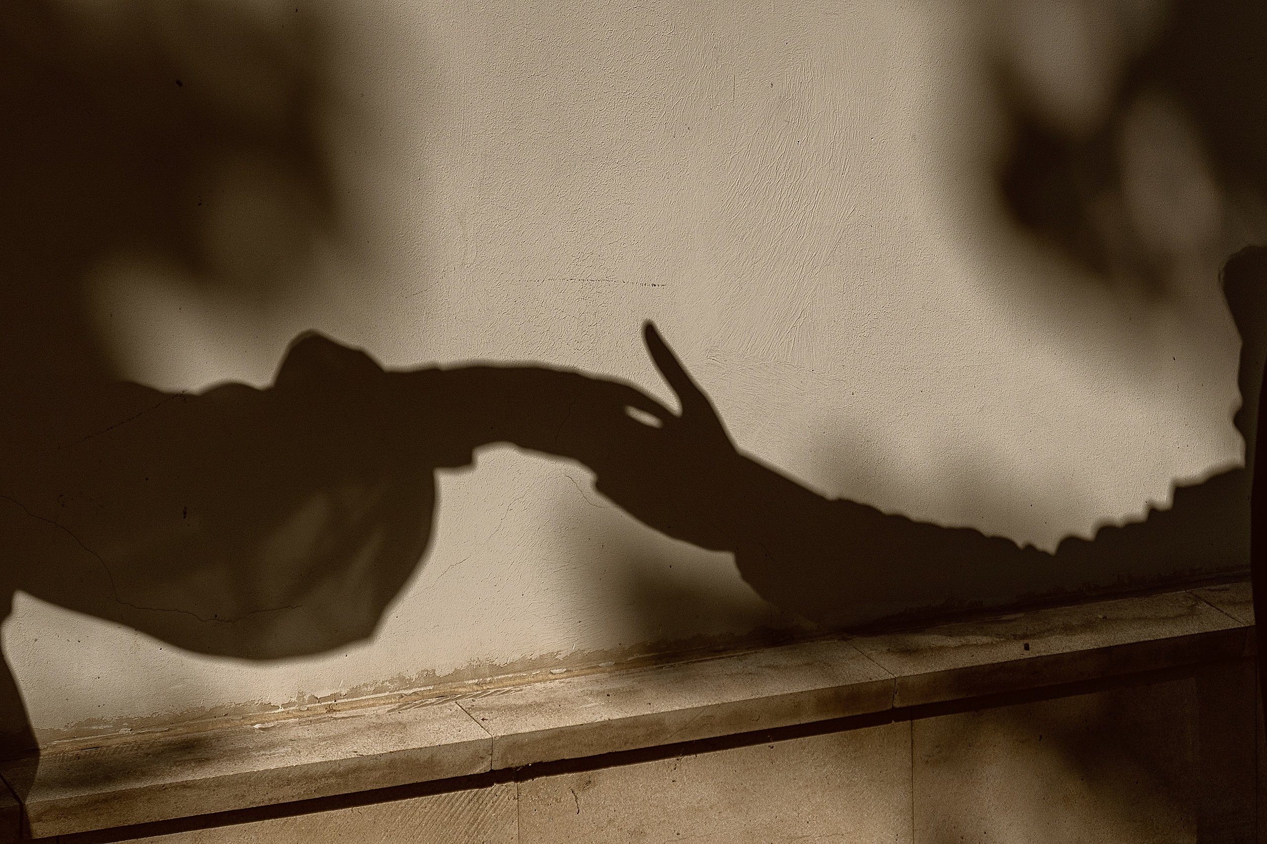 Свадебная съемка. Фотограф Олеся Курсанова