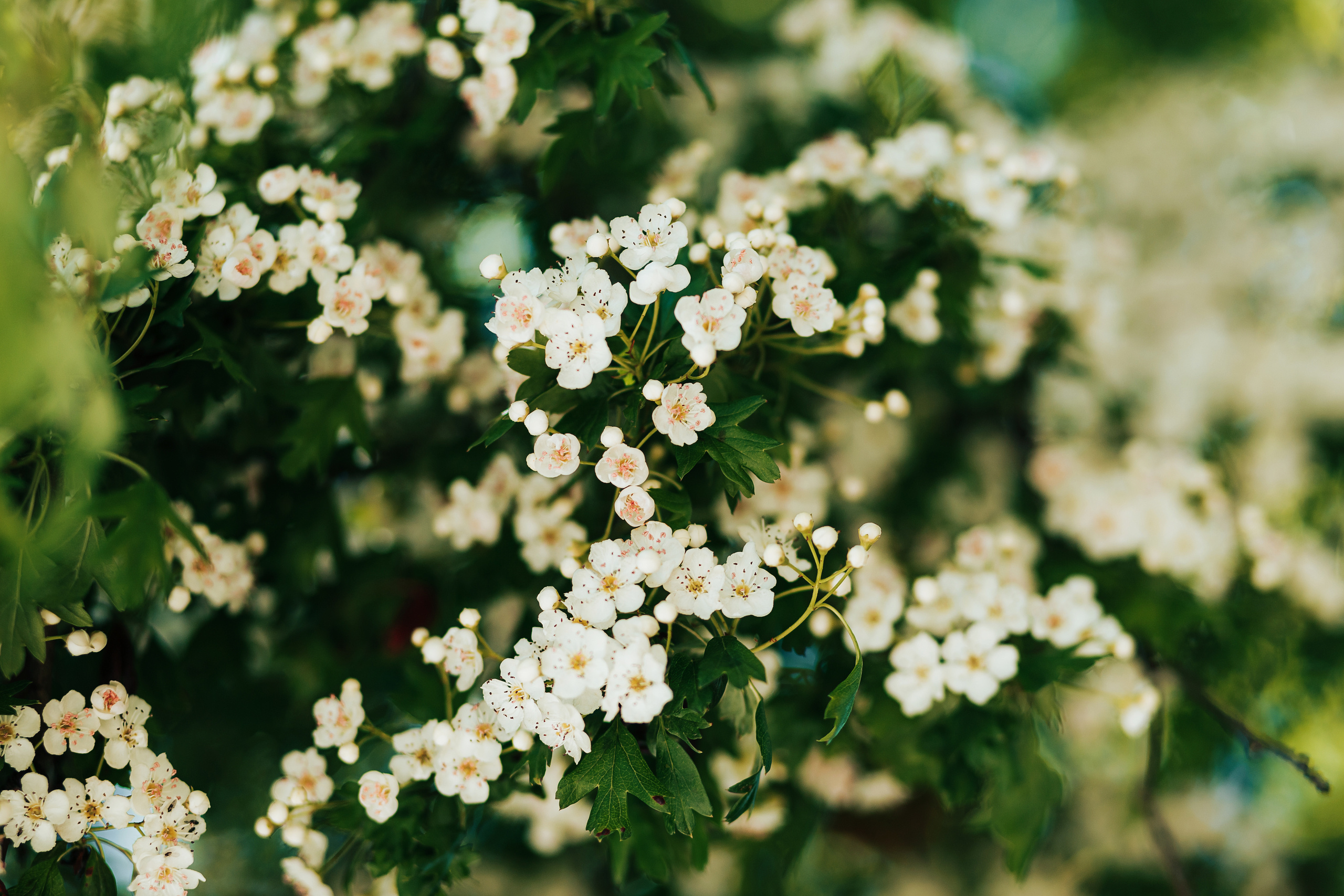 Индивидуальная фотосессия специалиста по стилю. Фотосъемка и видеосъемка в Калининграде Liveemotion.pro