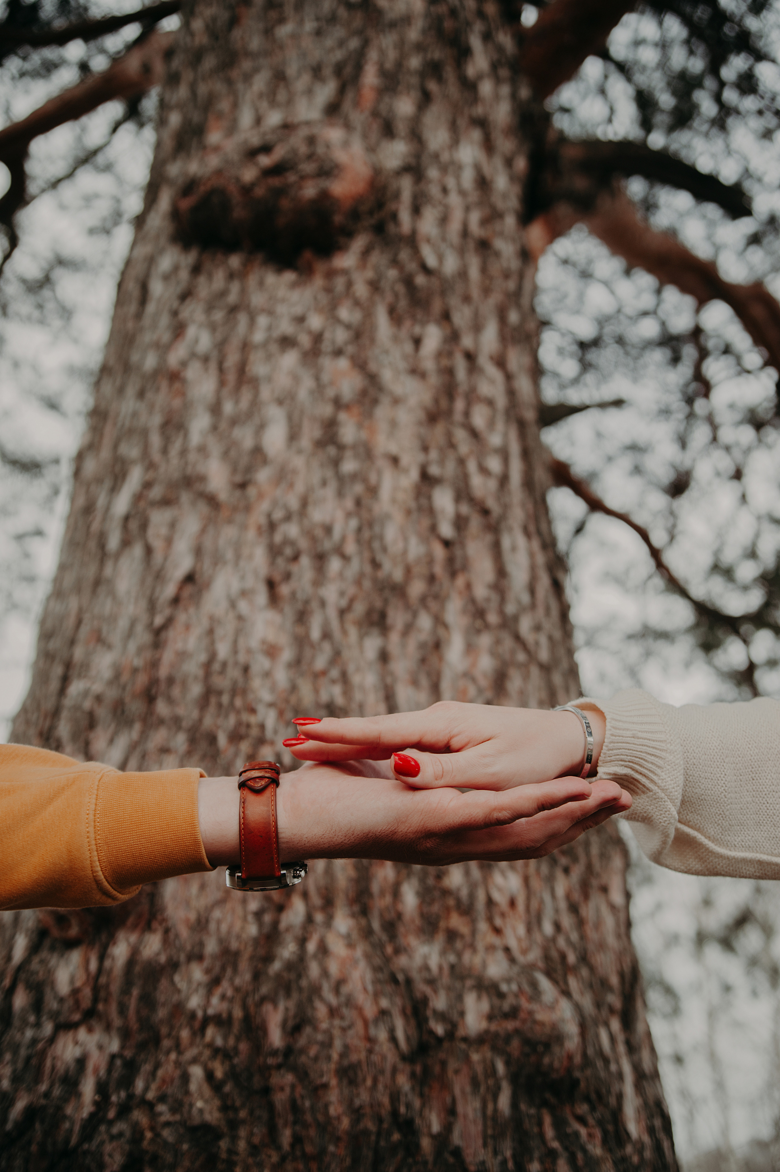 Света & Саша. Марина Шуляк Фотограф Кострома — Санкт Петербург