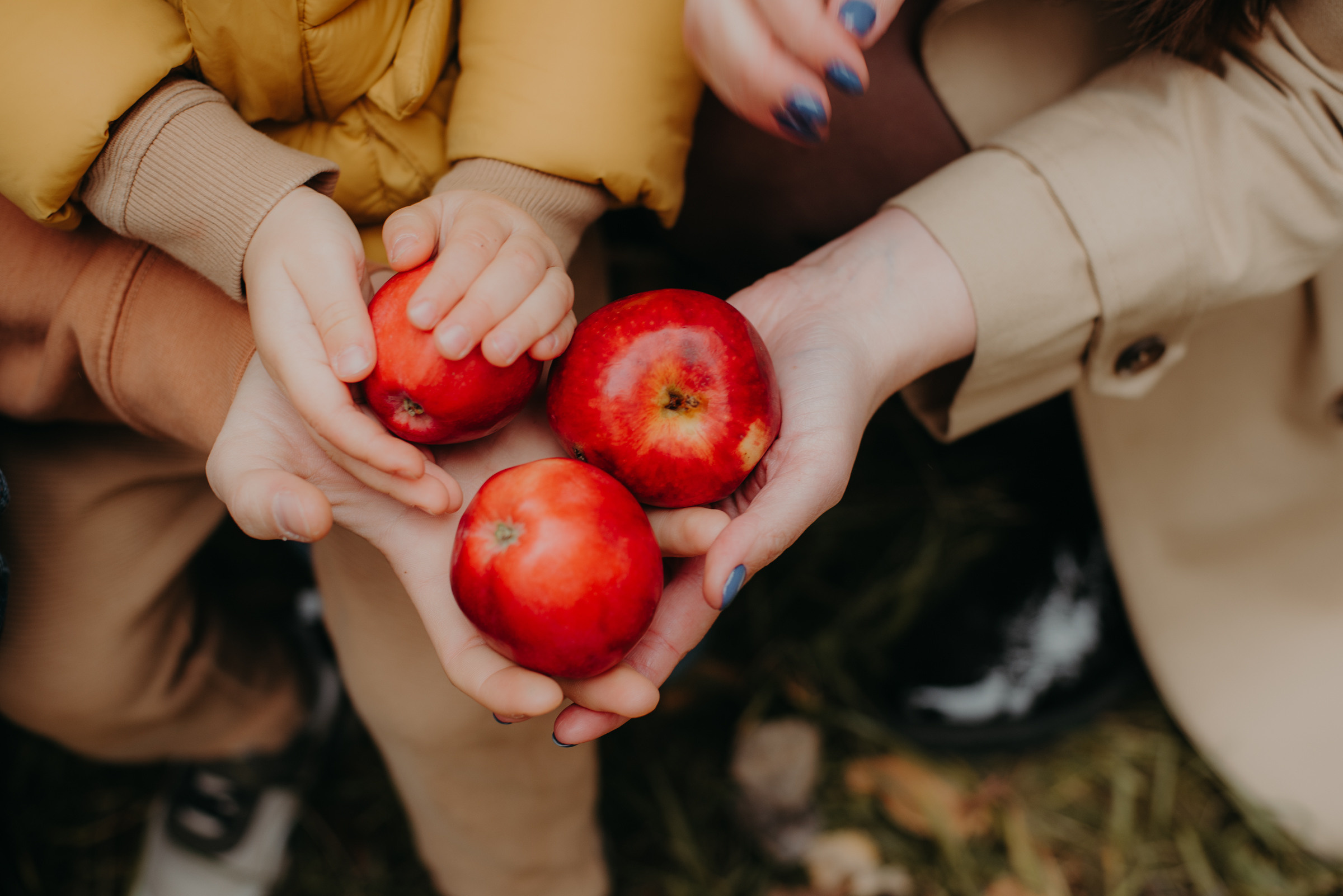 Family October. Марина Шуляк Фотограф Кострома — Санкт Петербург