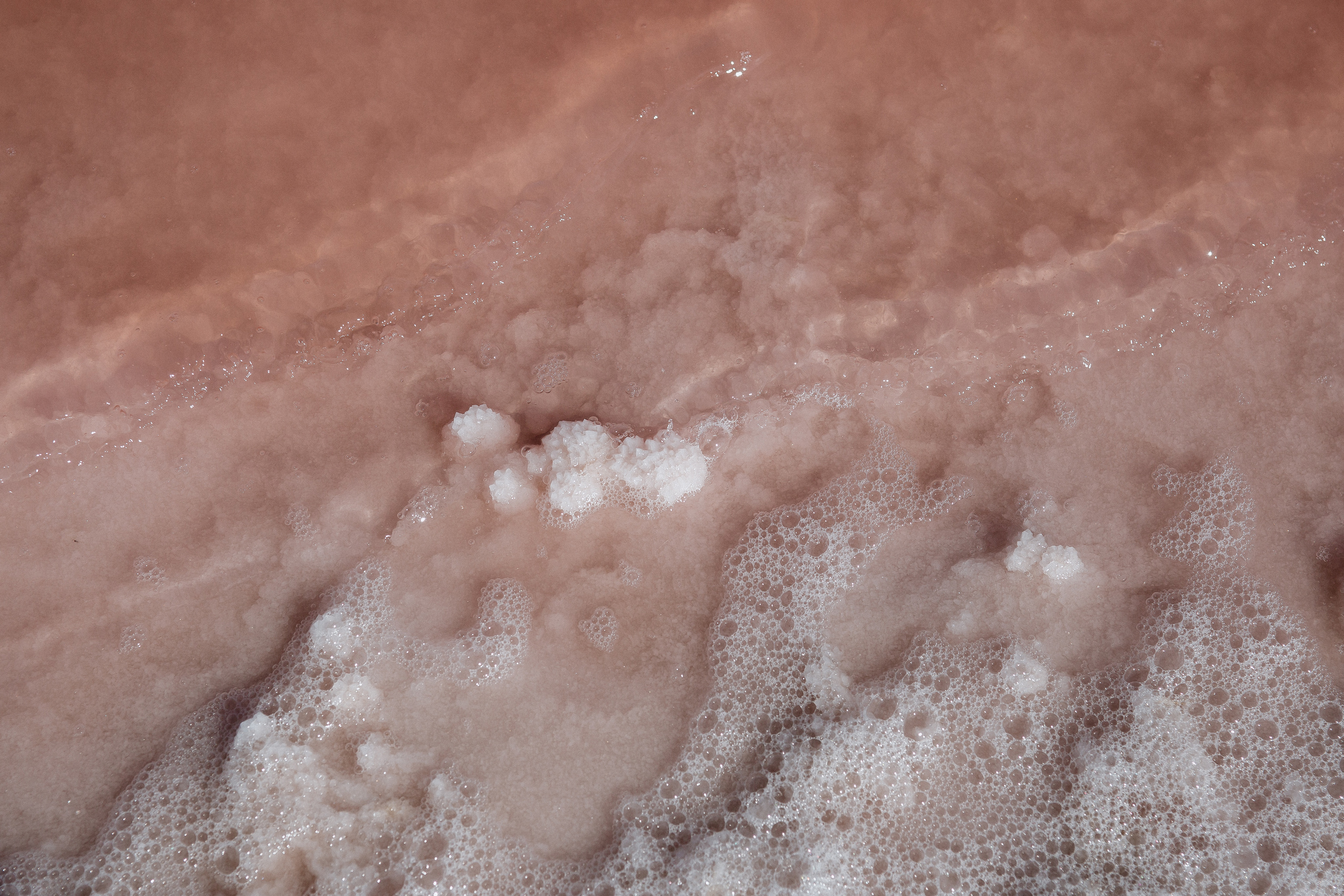 РОЗОВЫЙ ВЕТЕР. Свадебный и семейный фотограф в Анапе/Новороссийске Виктория Чайка