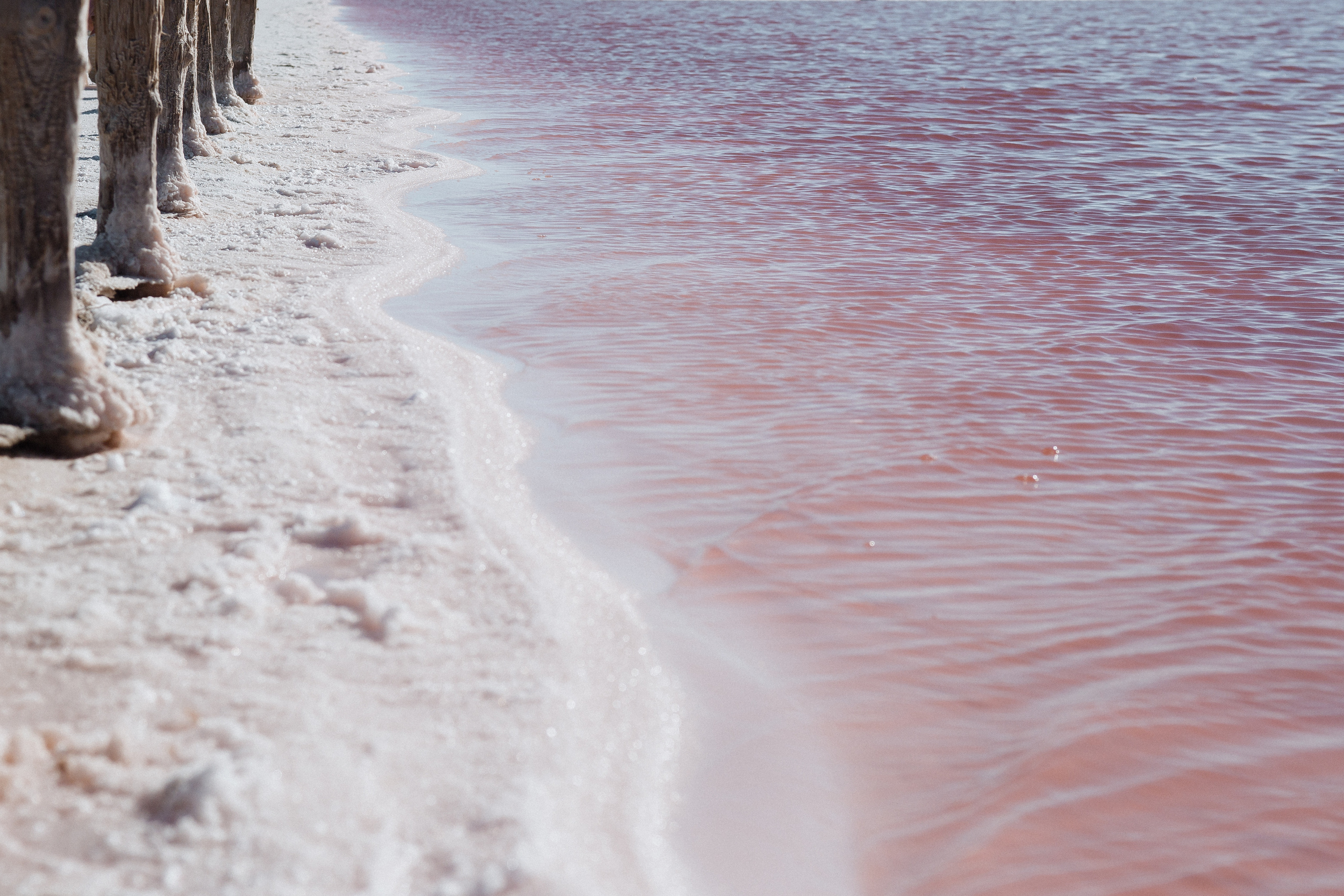 РОЗОВЫЙ ВЕТЕР. Свадебный и семейный фотограф в Анапе/Новороссийске Виктория Чайка
