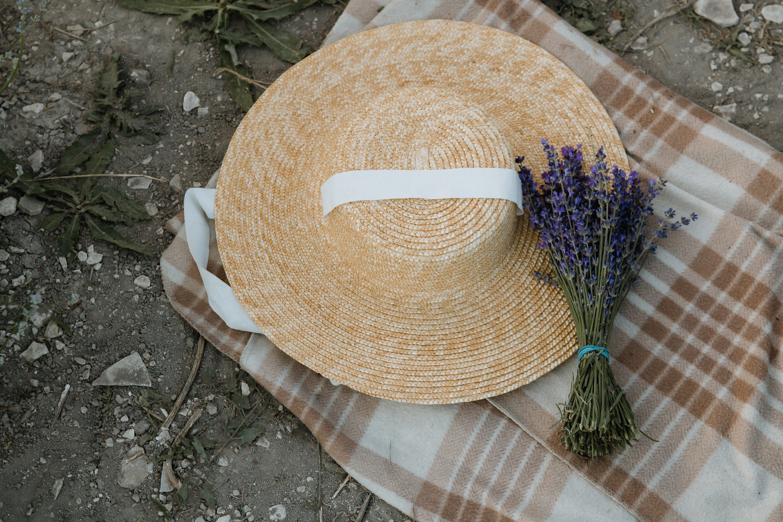 В лаванде. Свадебный и семейный фотограф в Анапе/Новороссийске Виктория Чайка