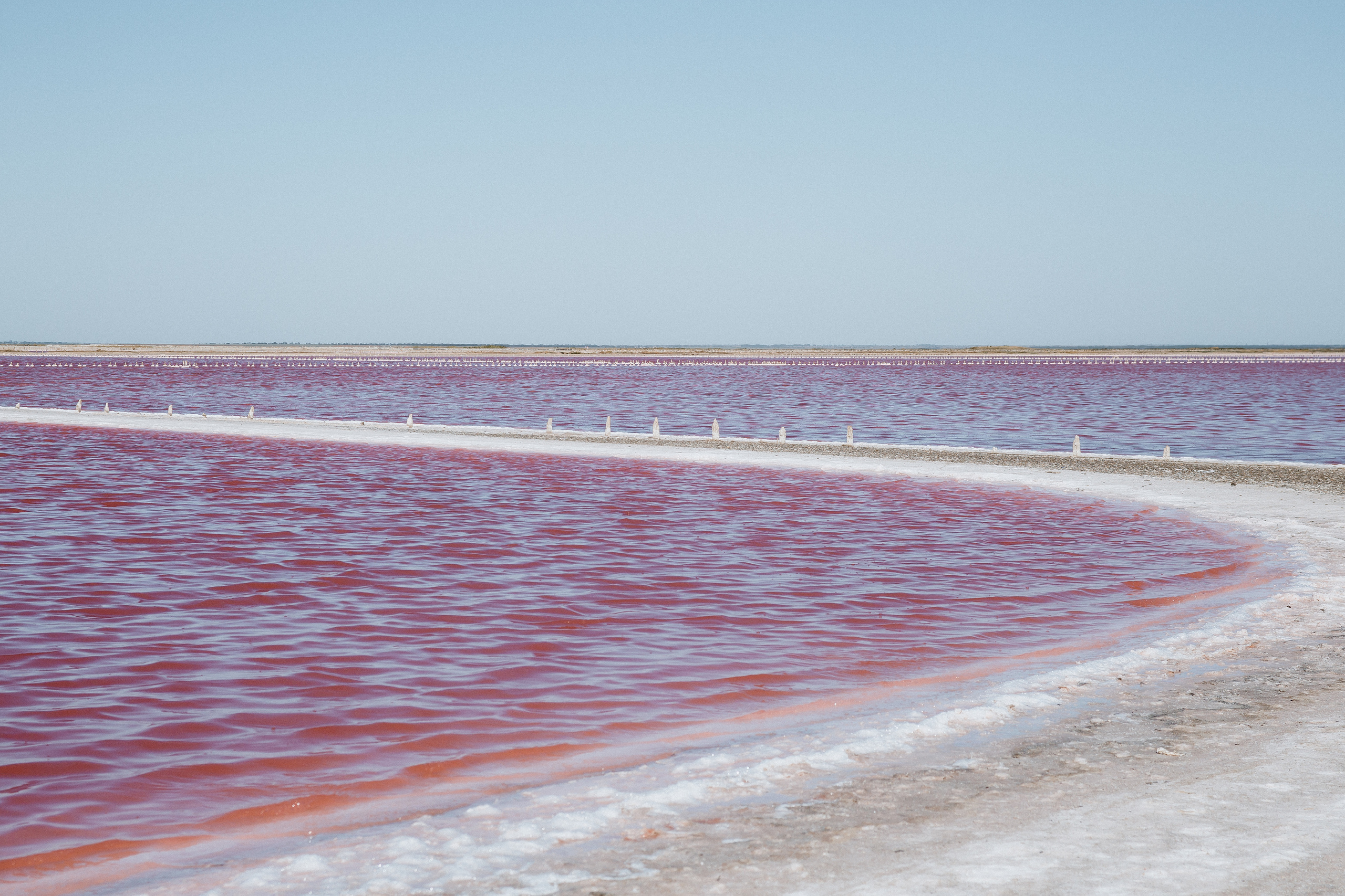 РОЗОВЫЙ ВЕТЕР. Свадебный и семейный фотограф в Анапе/Новороссийске Виктория Чайка