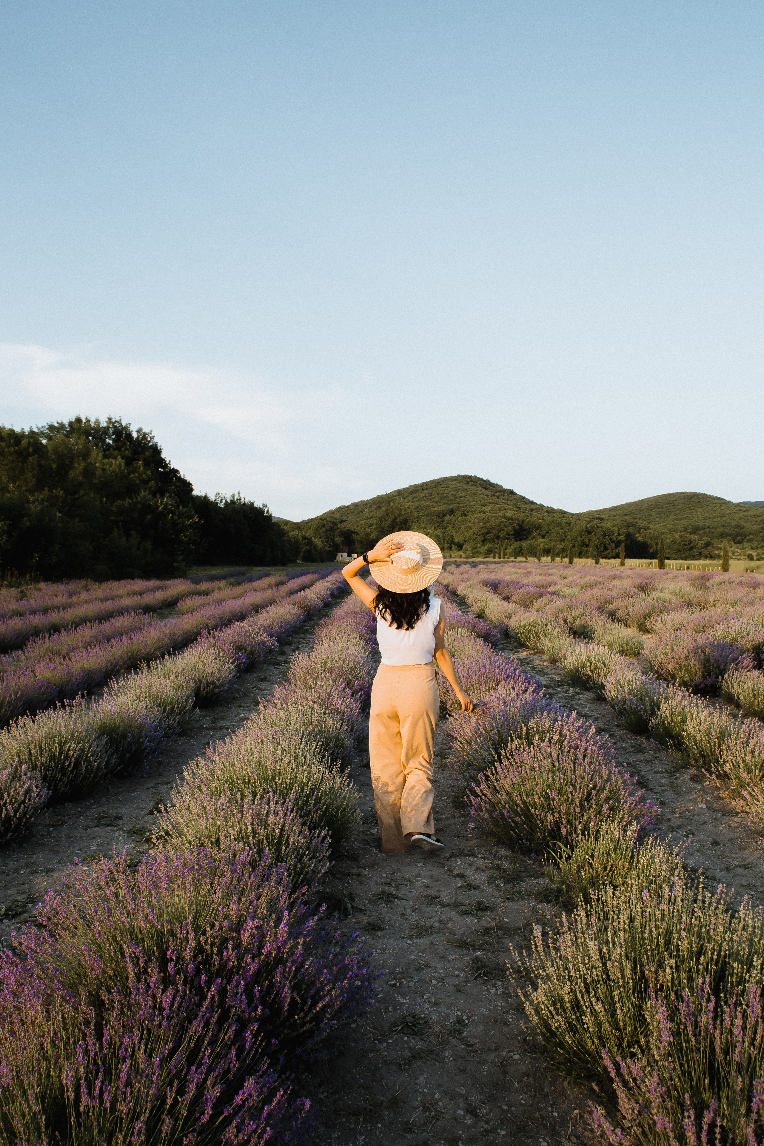В лаванде. Свадебный и семейный фотограф в Анапе/Новороссийске Виктория Чайка