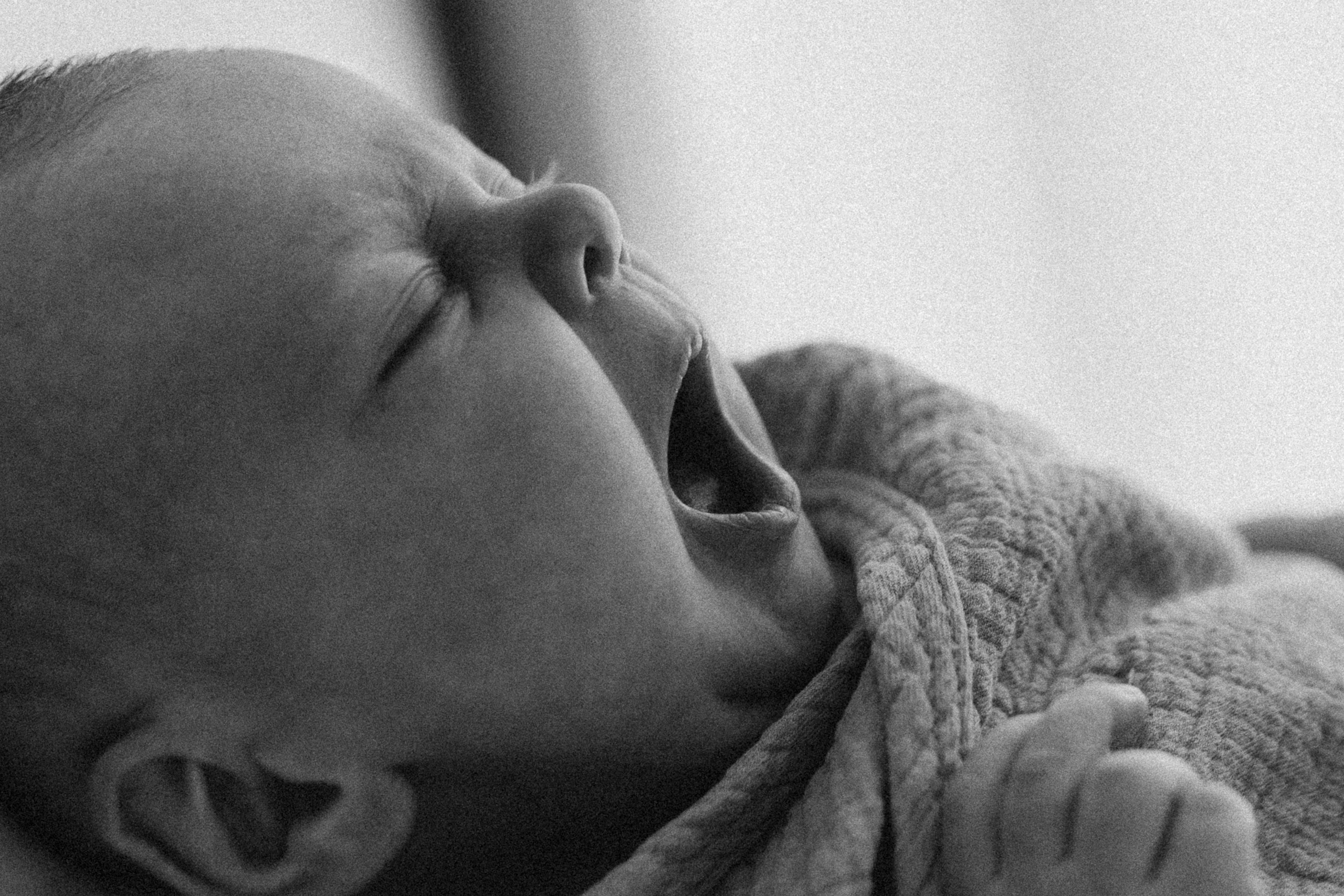 Séance newborn Sasha. Photographe des familles et enfants à Nantes et alentours