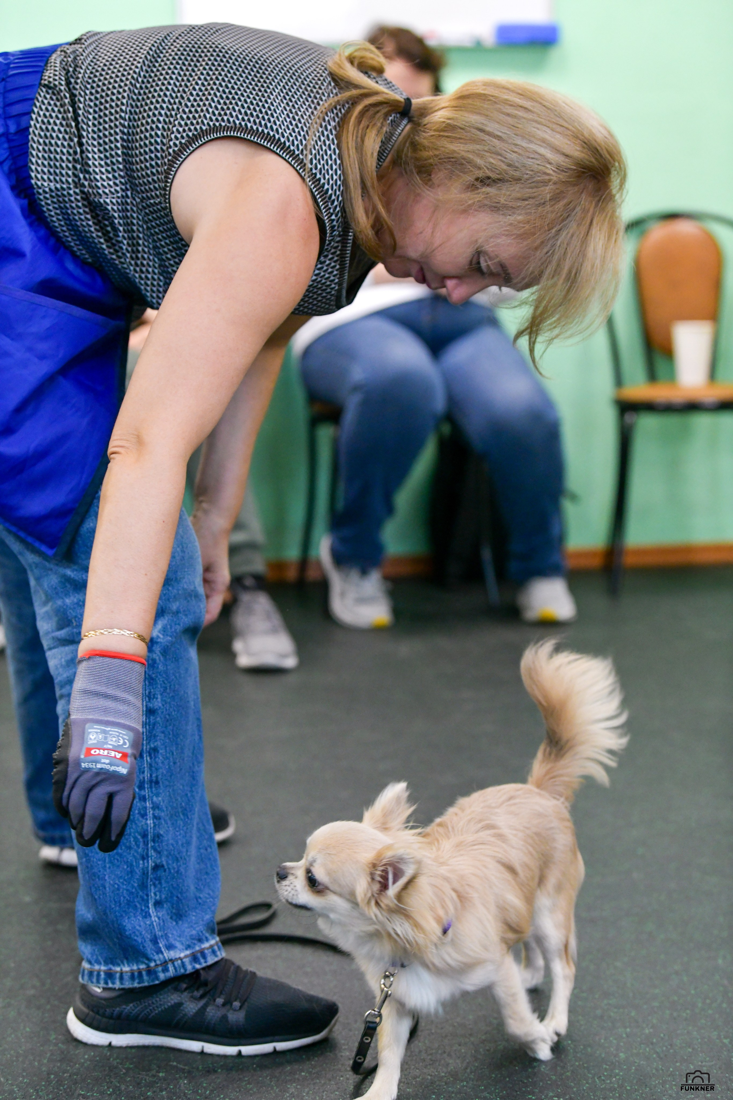 Кинологический клуб «Бодрый хвост». Свой взгляд через объектив