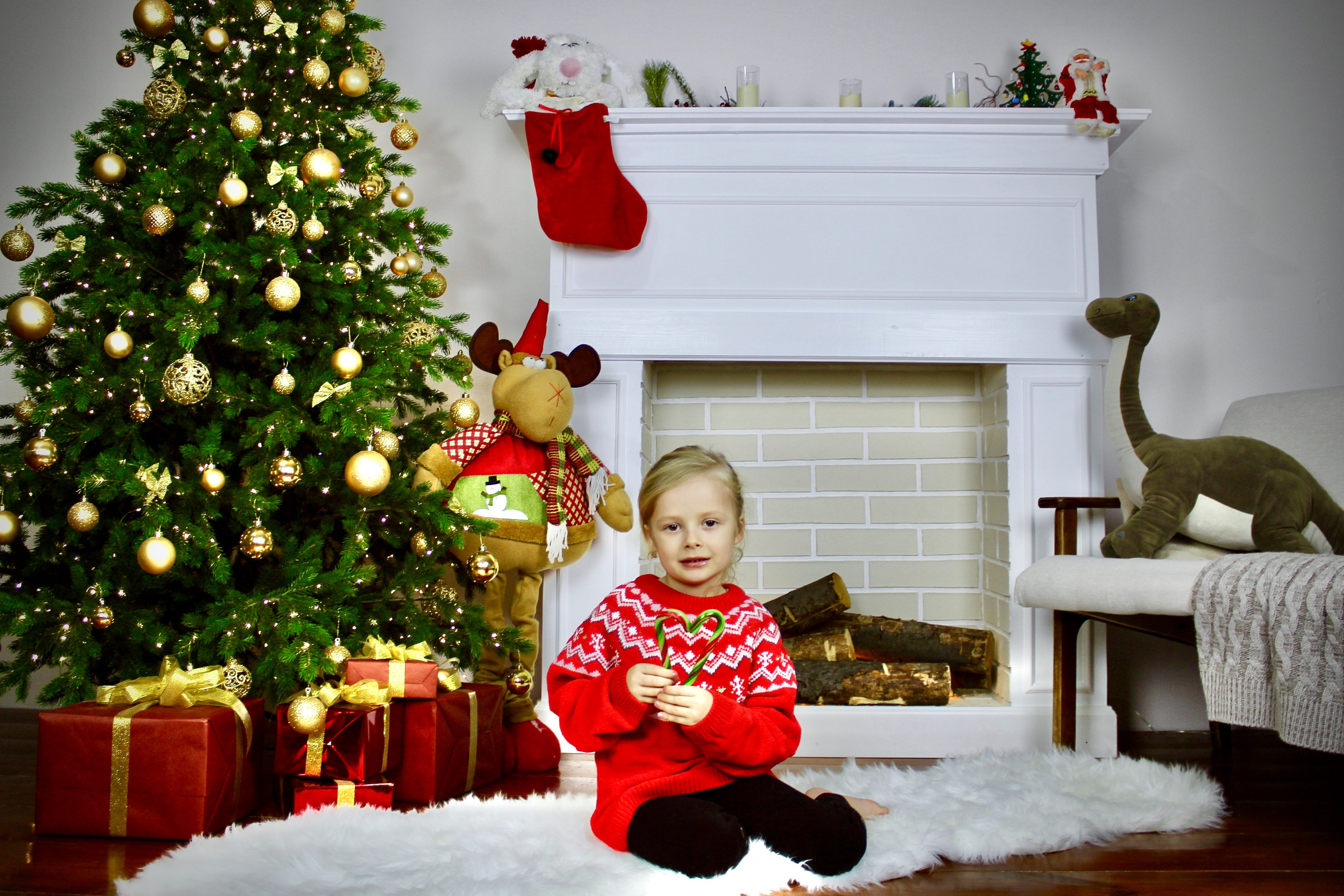 Новогодние съёмки. Портфолио