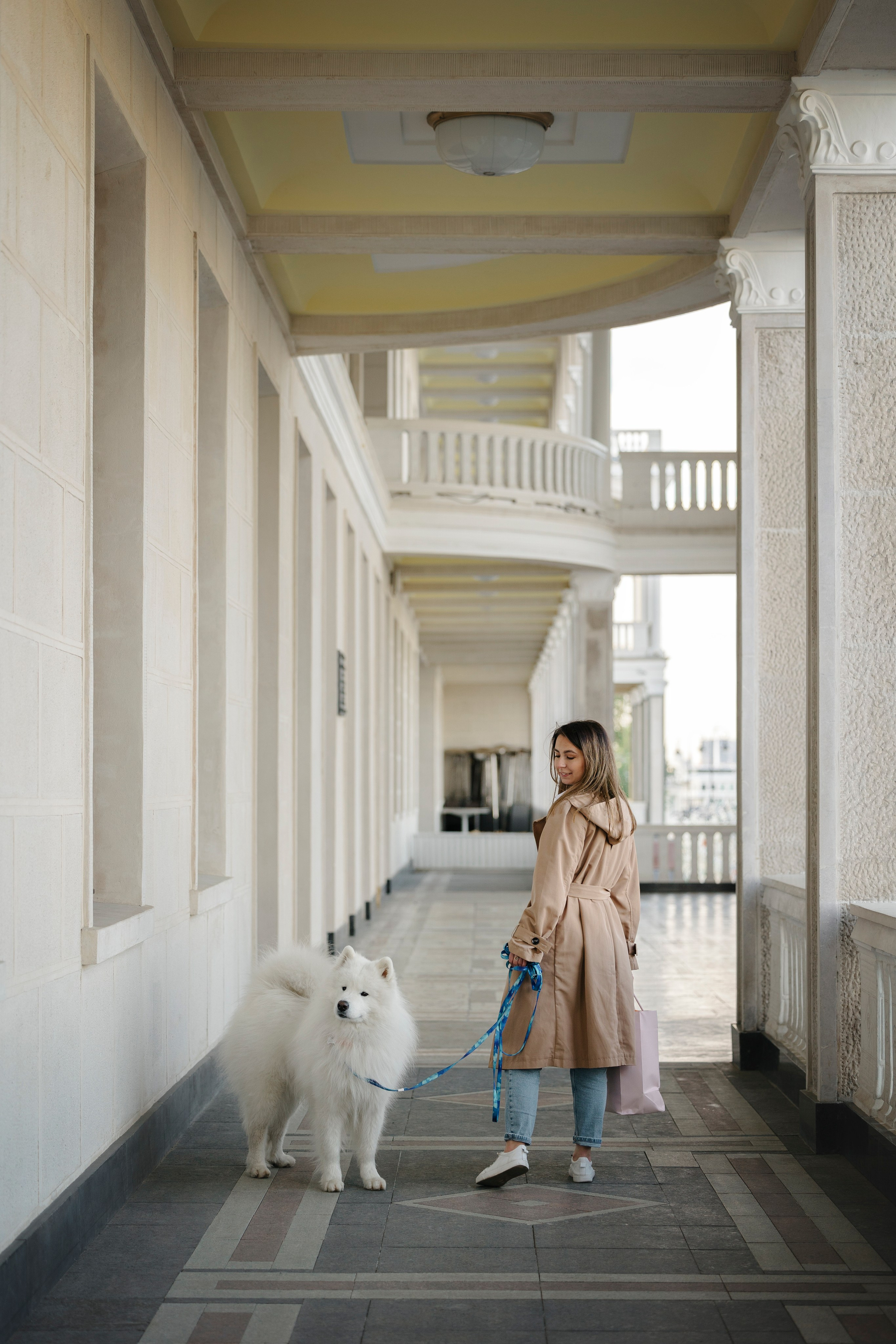 Ната, Панти, Речной Вокзал. Фотограф анималист в Москве Майорова Евгения