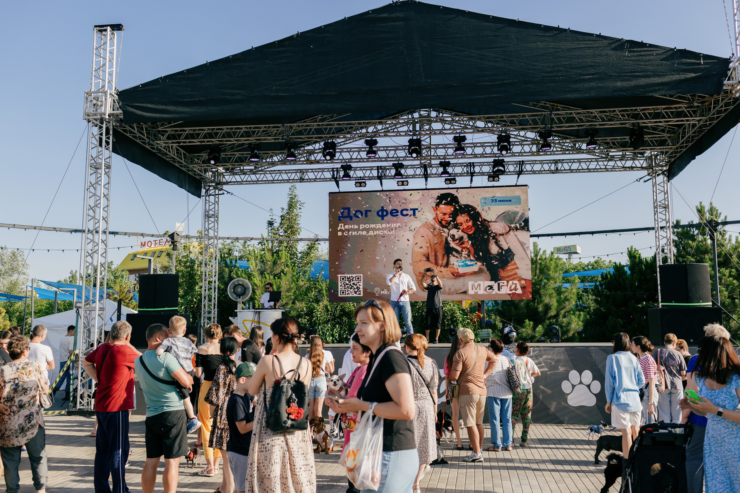 Dog Fest 2024. Главная