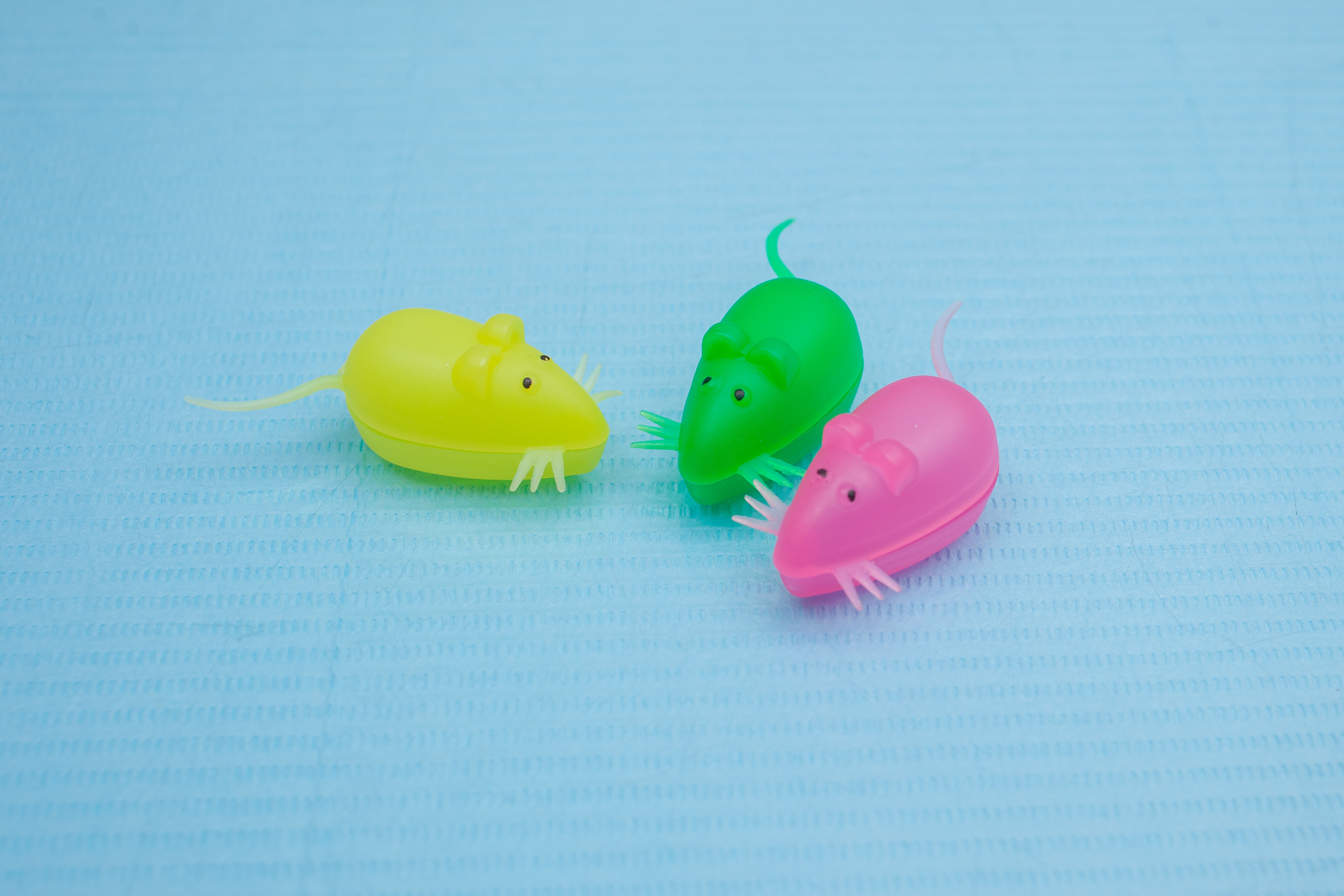 Стоматолог. Фотограф Алина Гашникова