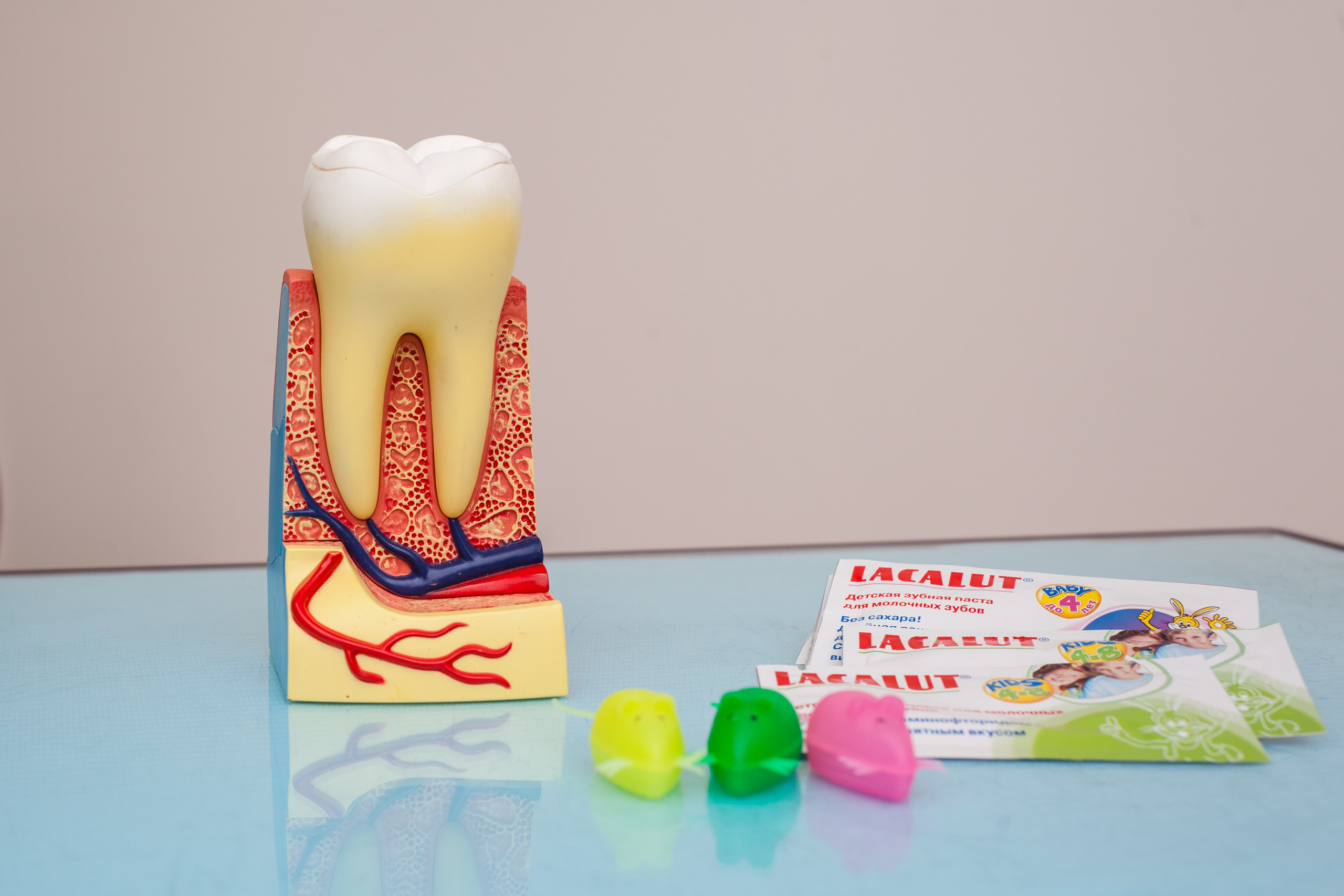 Стоматолог. Фотограф Алина Гашникова