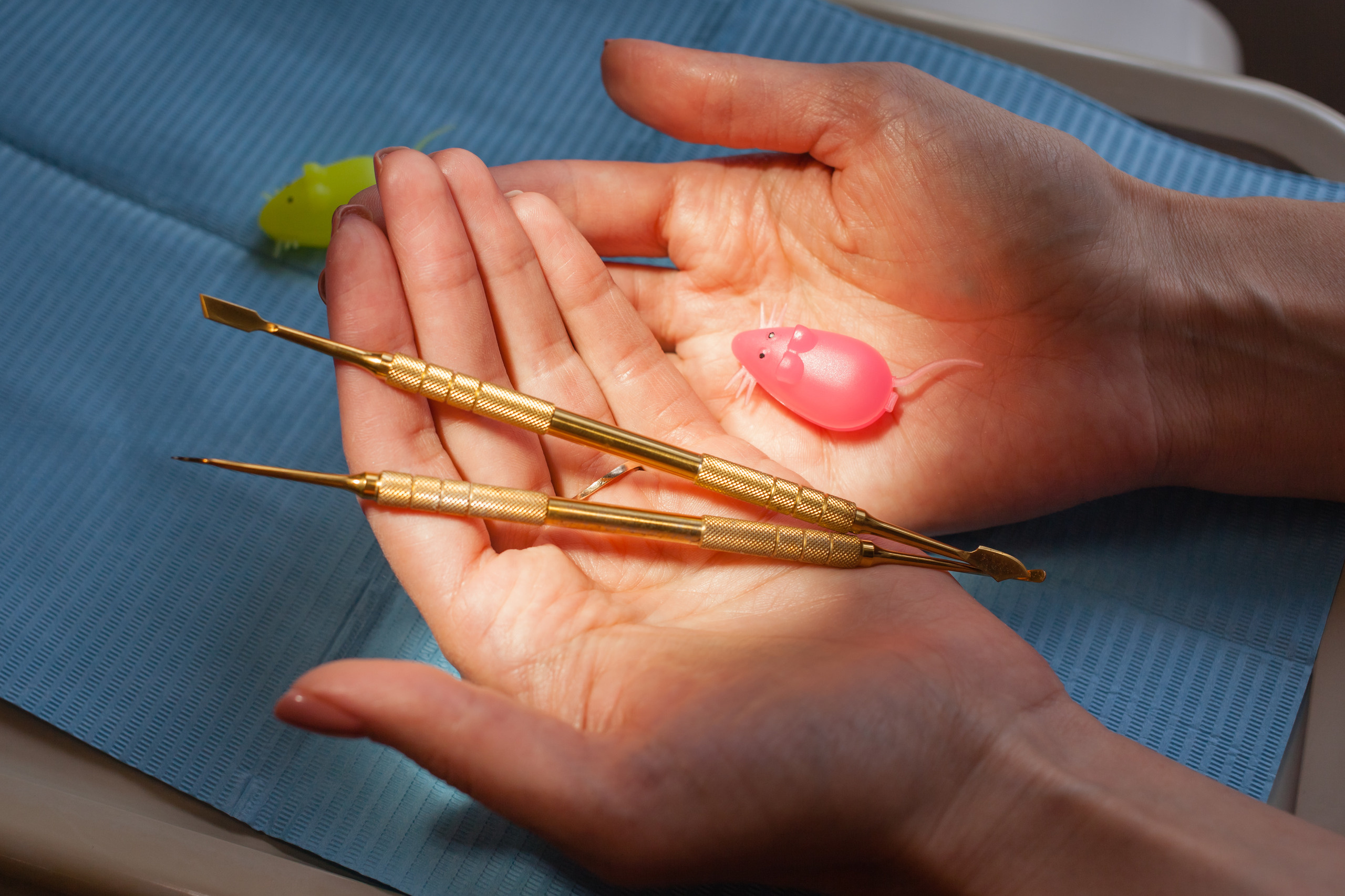 Стоматолог. Фотограф Алина Гашникова