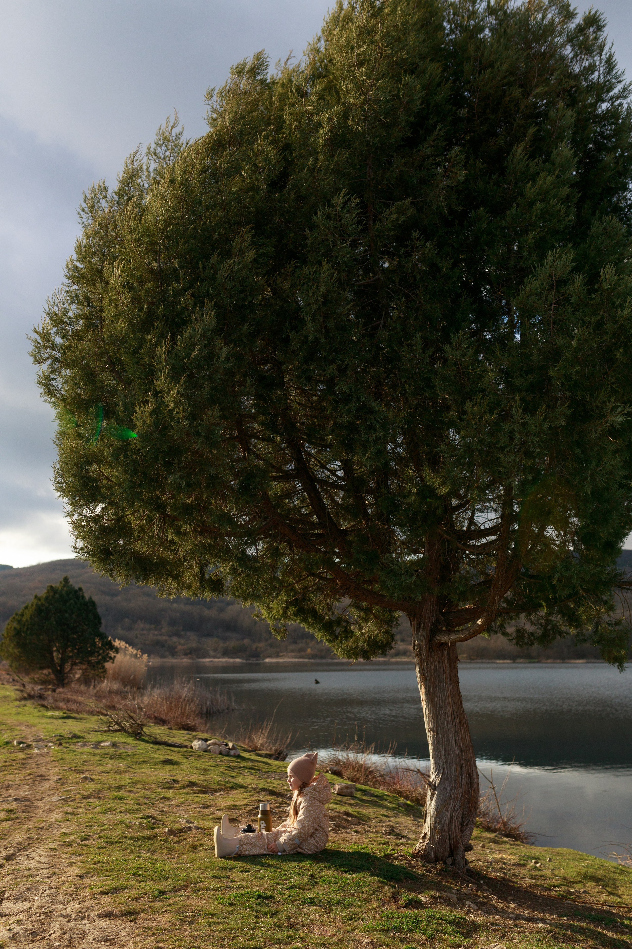 MJOLK. весна 2024. Римма Зайцева контент для брендов