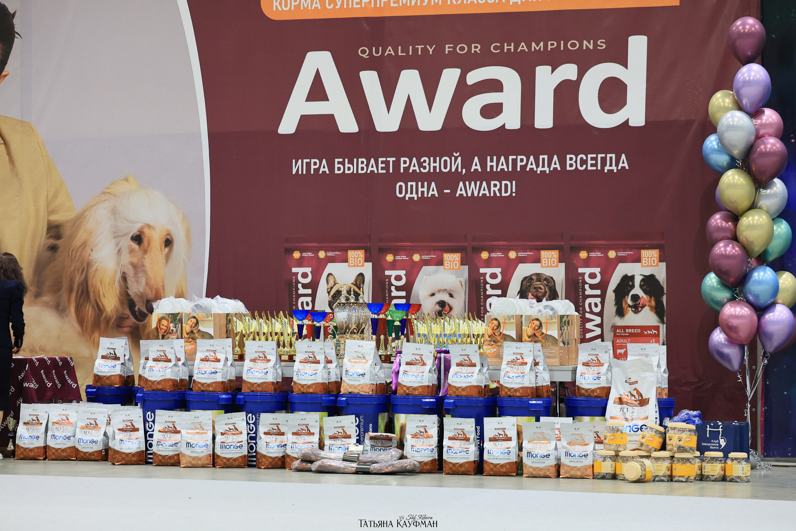 28-29.03.2026 Рейтинговая выставка в Новосибирске. Фотограф Анималист из Новосибирска Татьяна Кауфман