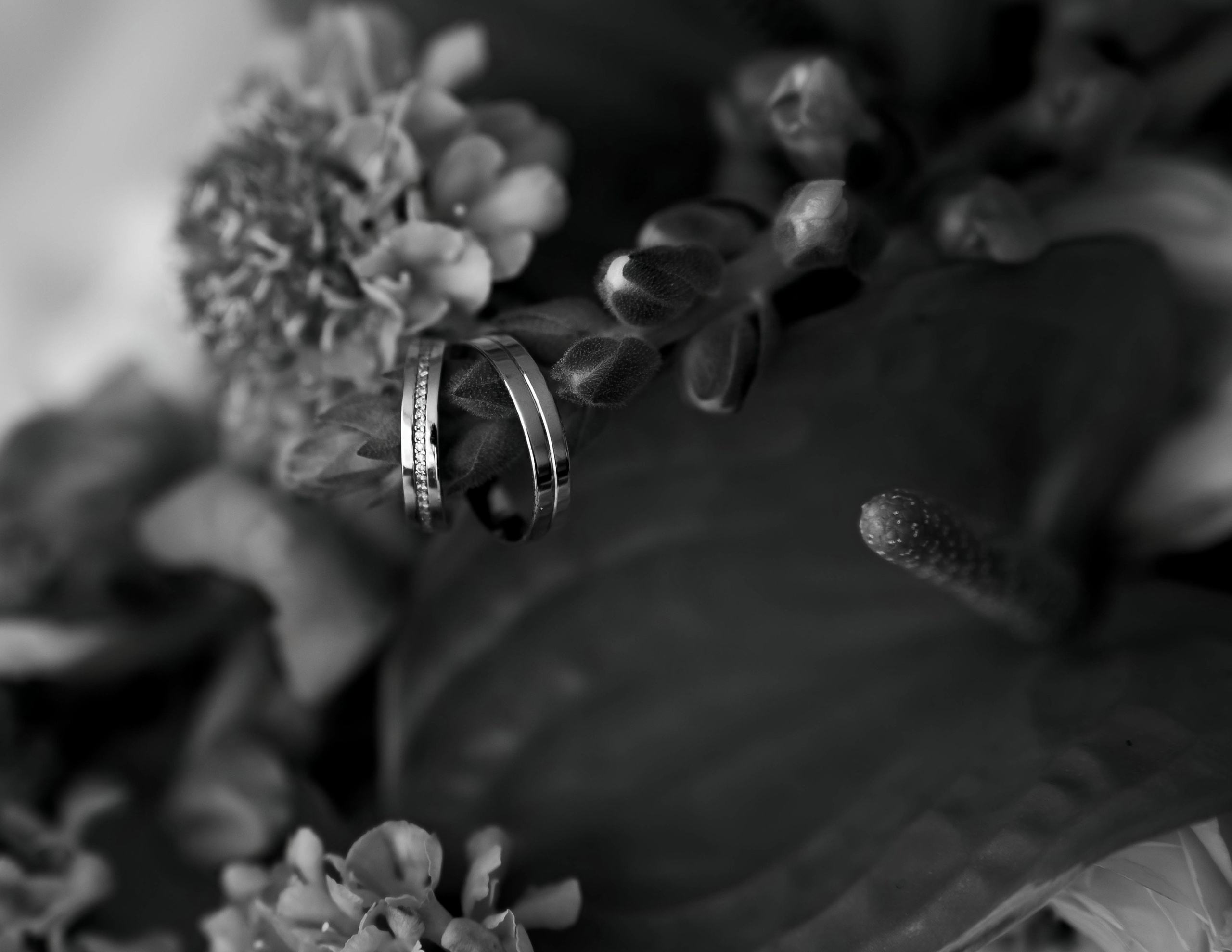 Амир | Алина. Свадебный и семейный фотограф в Казани Диана Портнова