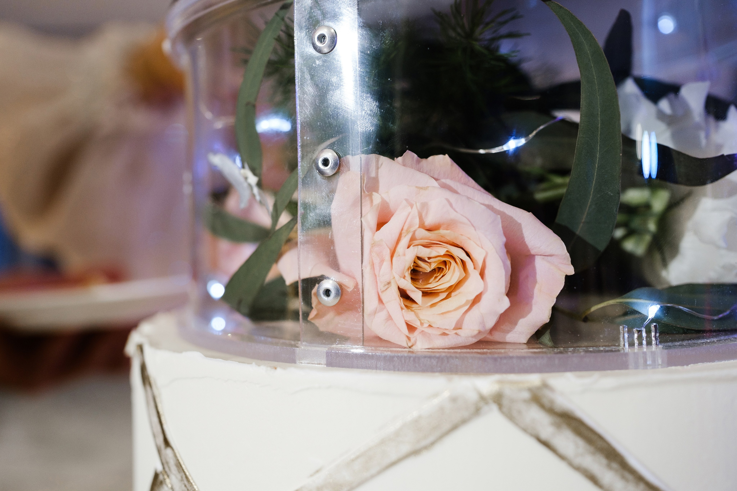 Максим и Дарья. Свадебный фотограф | репортаж | праздники | крещение