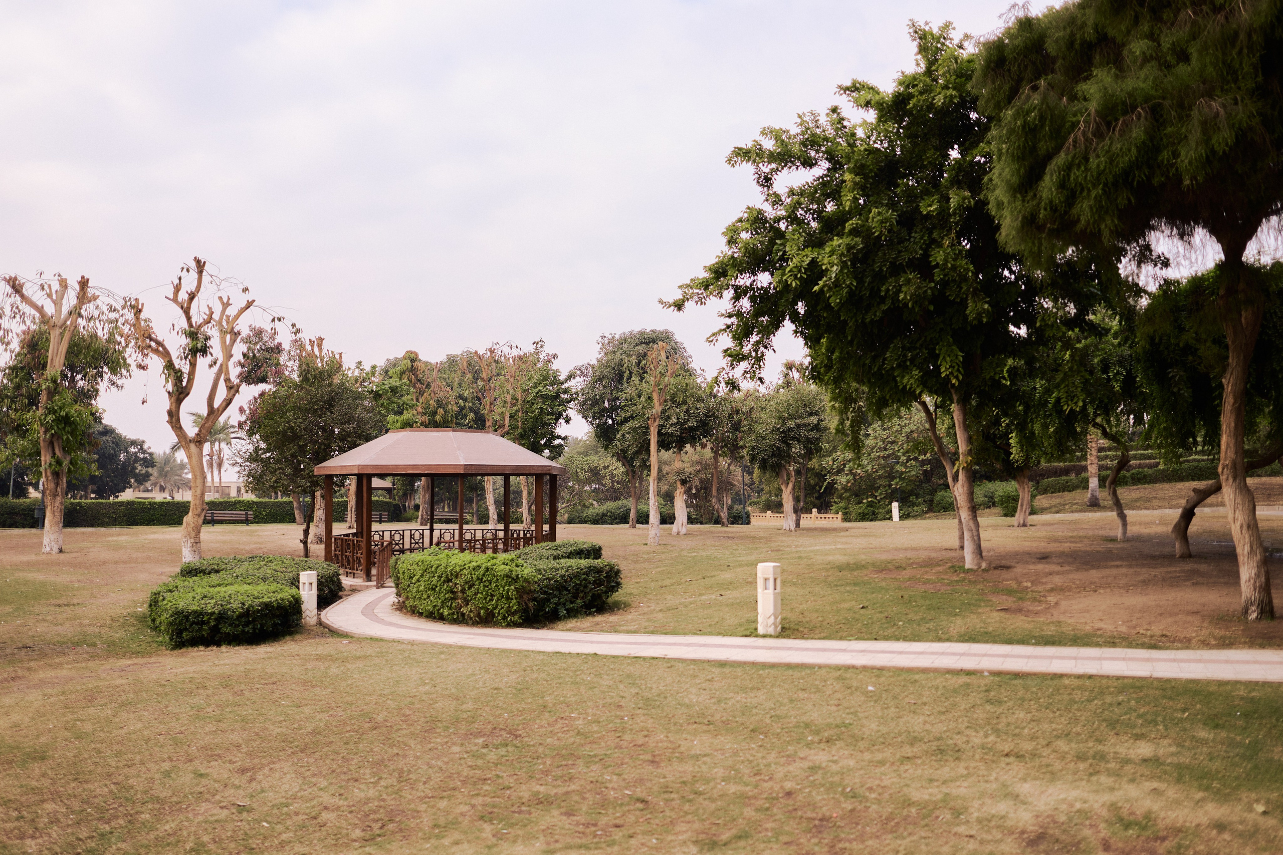 Другое 4. Jorgis — фотограф в Хургаде / обучение фотографии