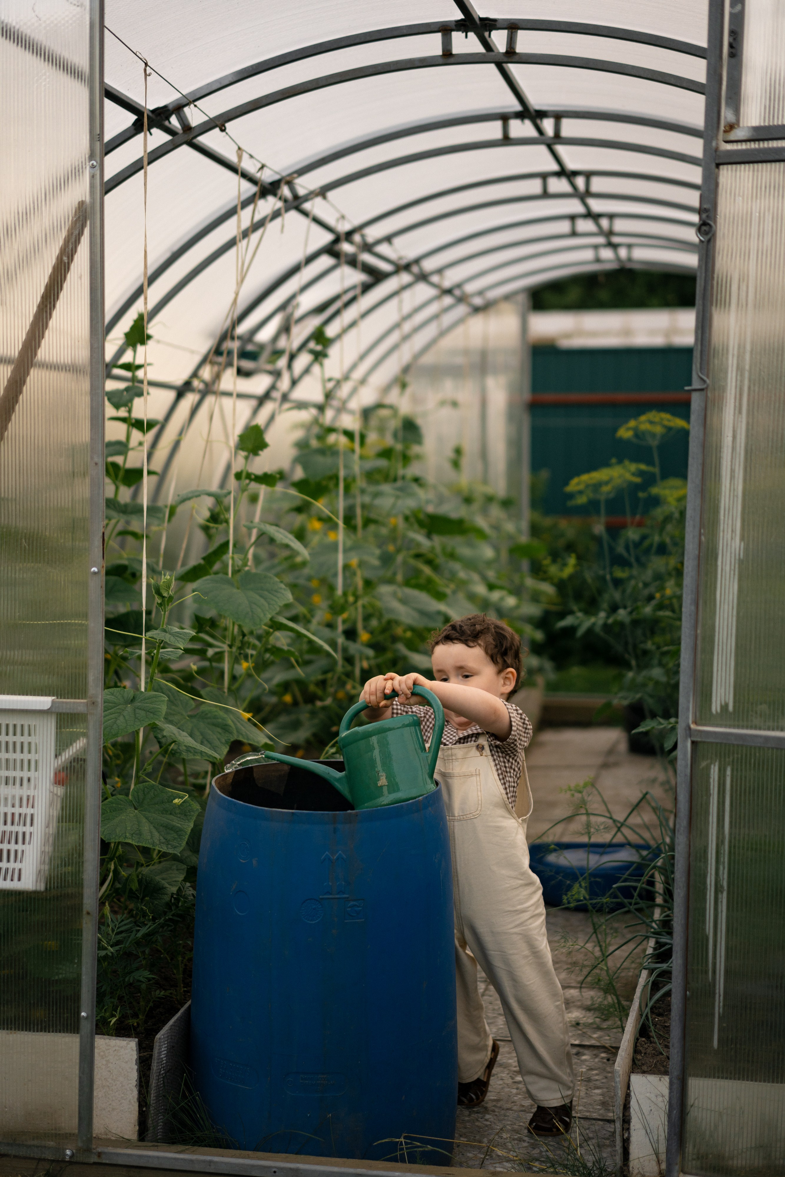 Family. Фотограф Офимкин Антон