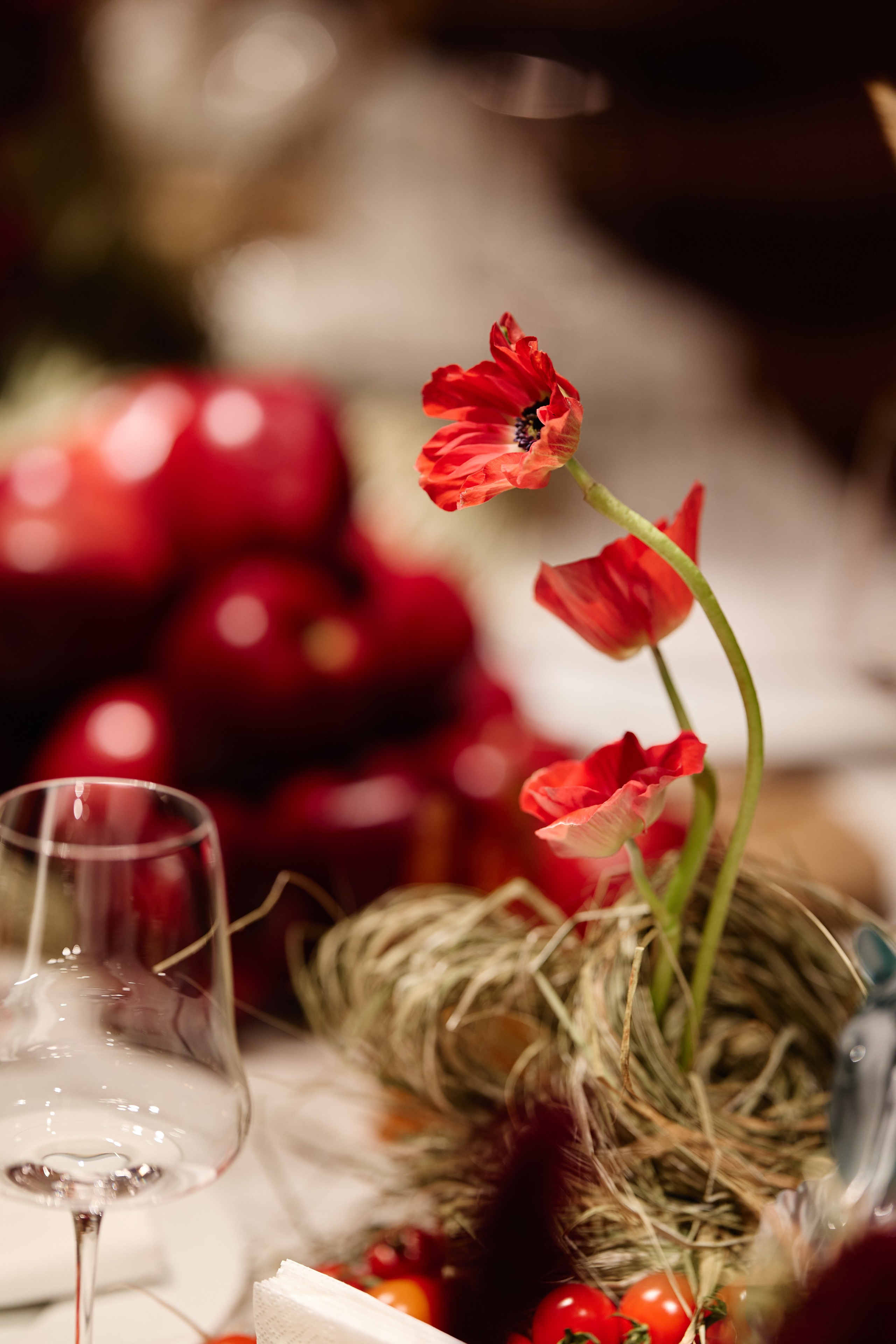 DAUM x TSUM. Portrait and reportage photographer