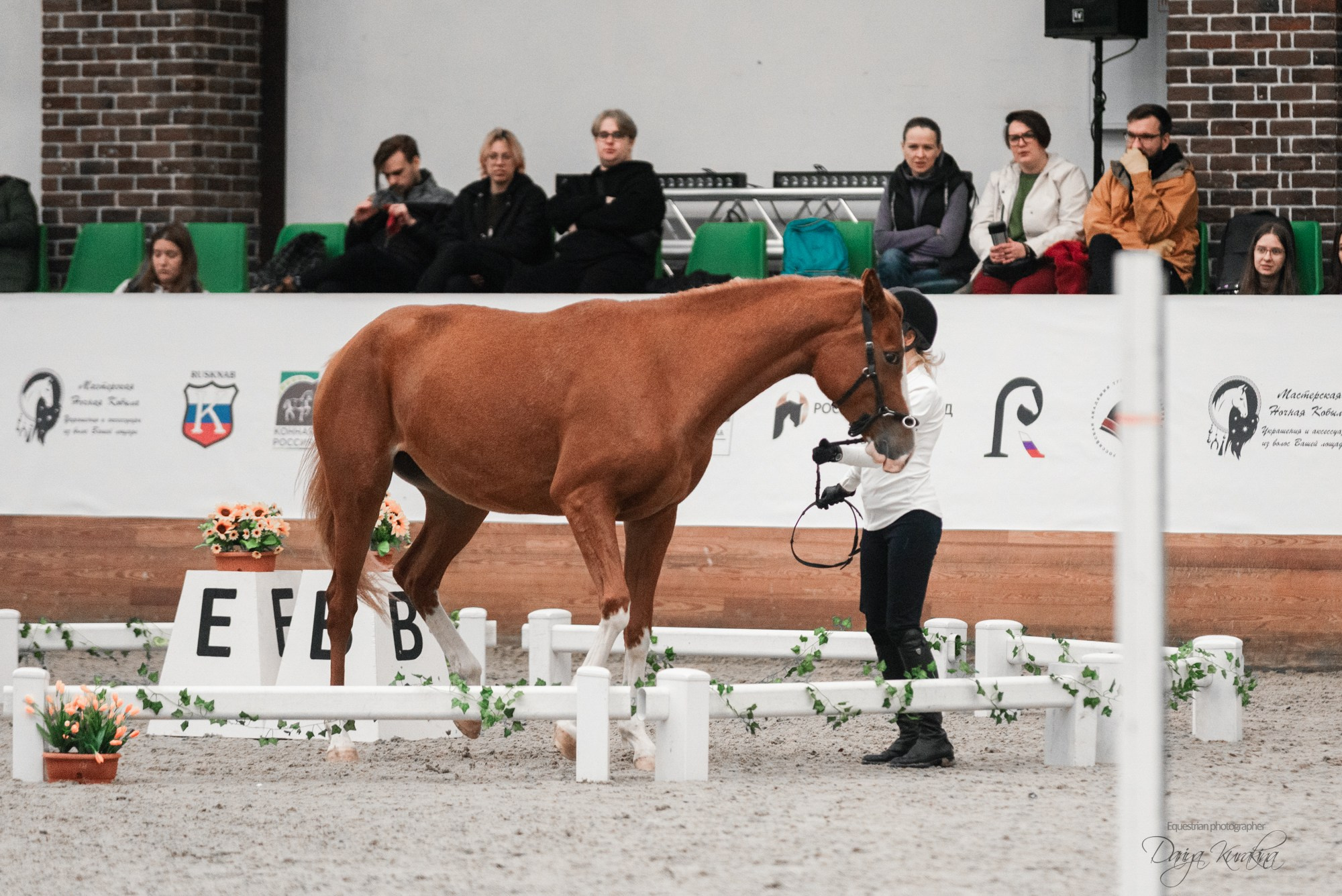8-я международная выставка Конная Россия. Конный фотограф Куракина Дарья • Фотосессии с лошадьми