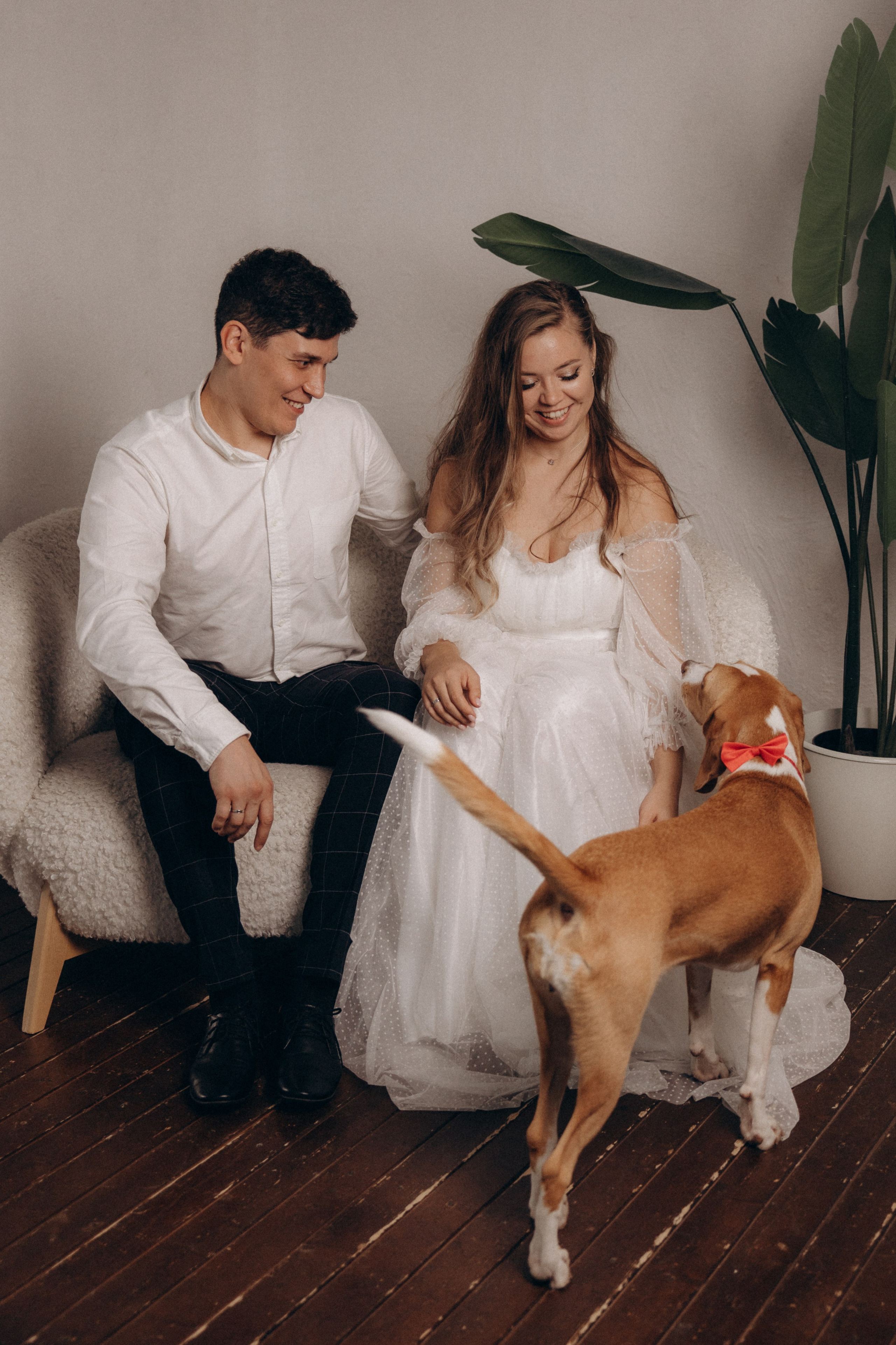 История любви. Фотограф анималист в Казани Алина Сулейманова. Фотограф животных