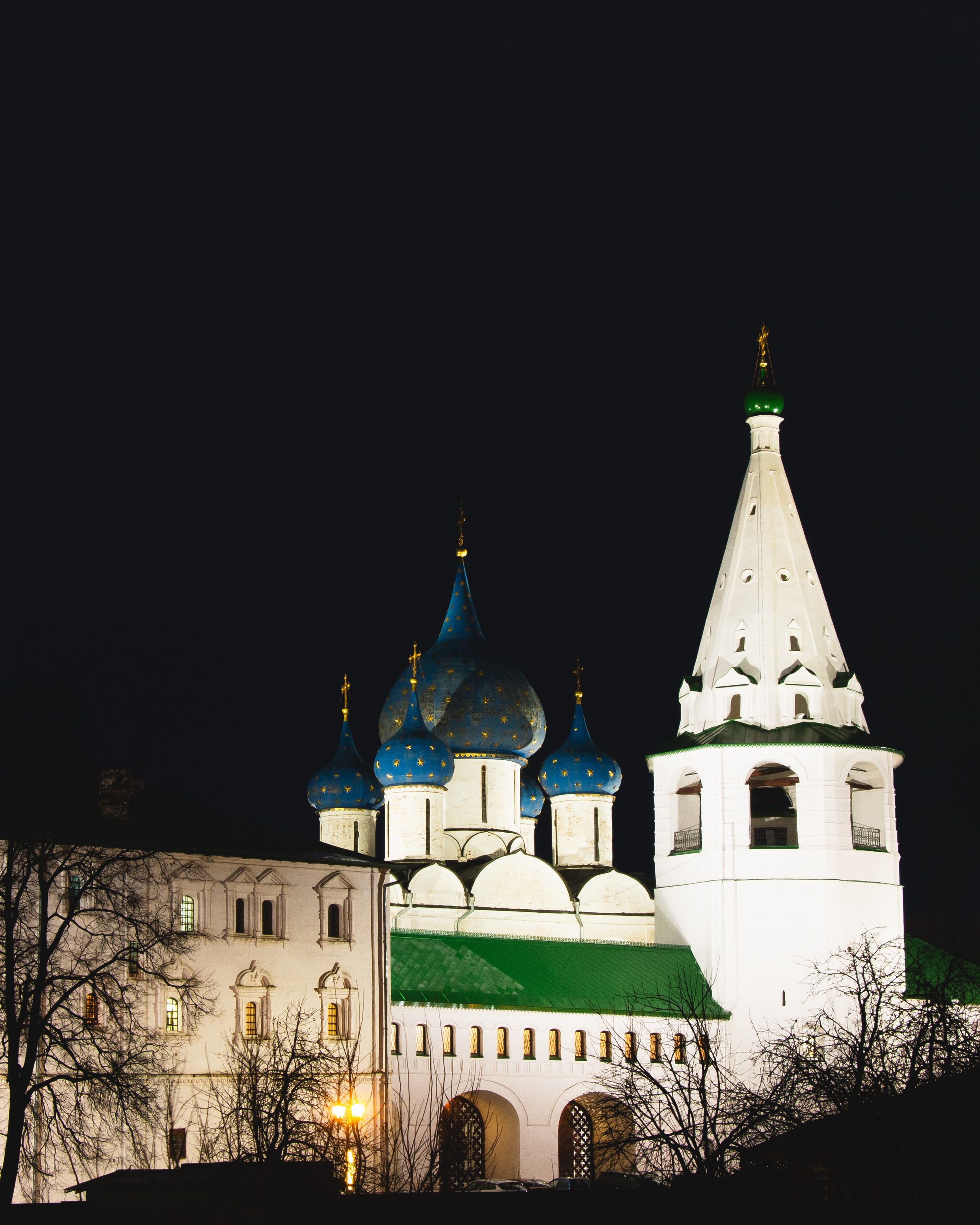 Суздаль. Олег Романов. Мастер фото по спорту